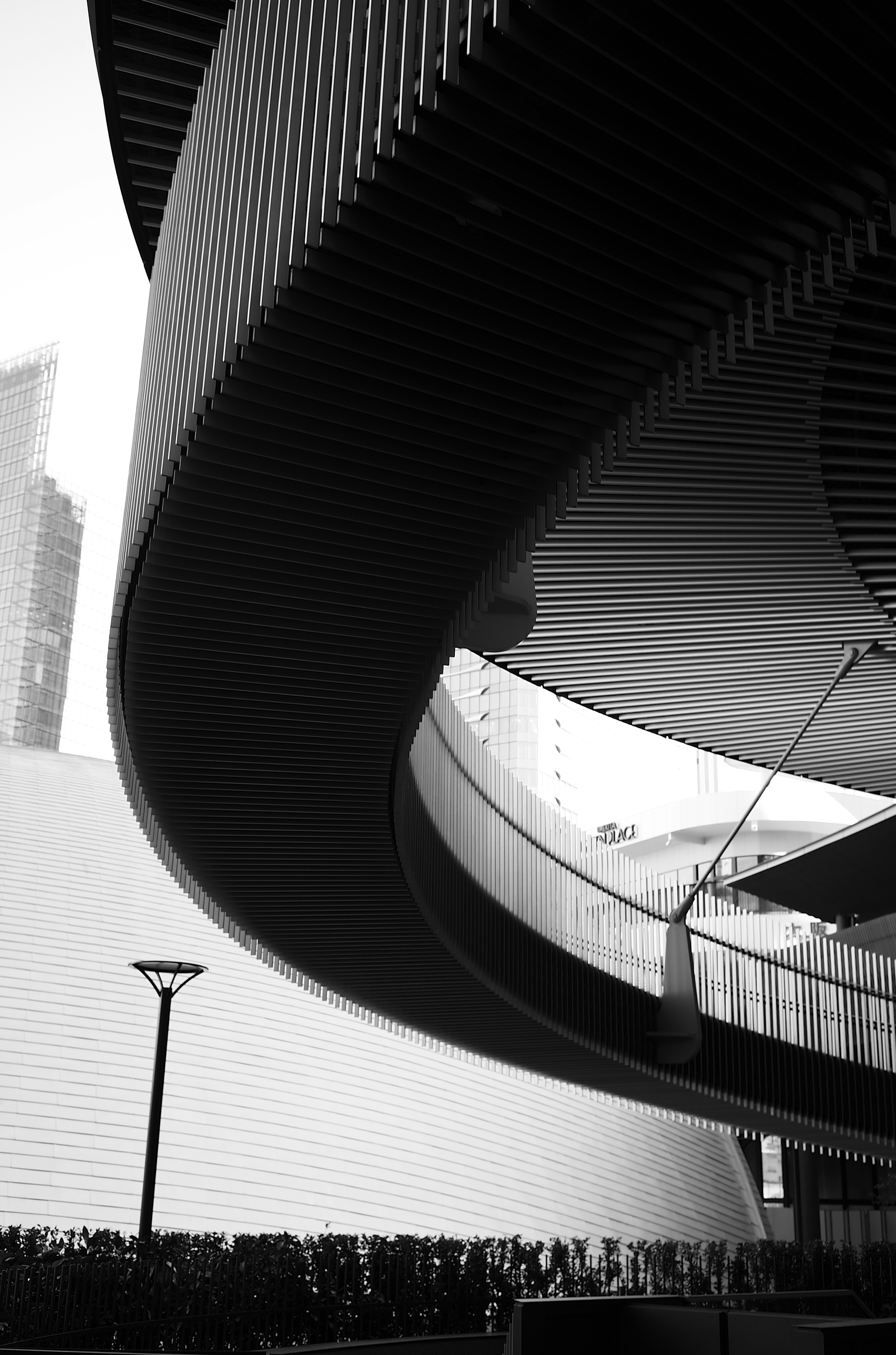 Photo en noir et blanc mettant l'accent sur le design courbé de l'architecture moderne