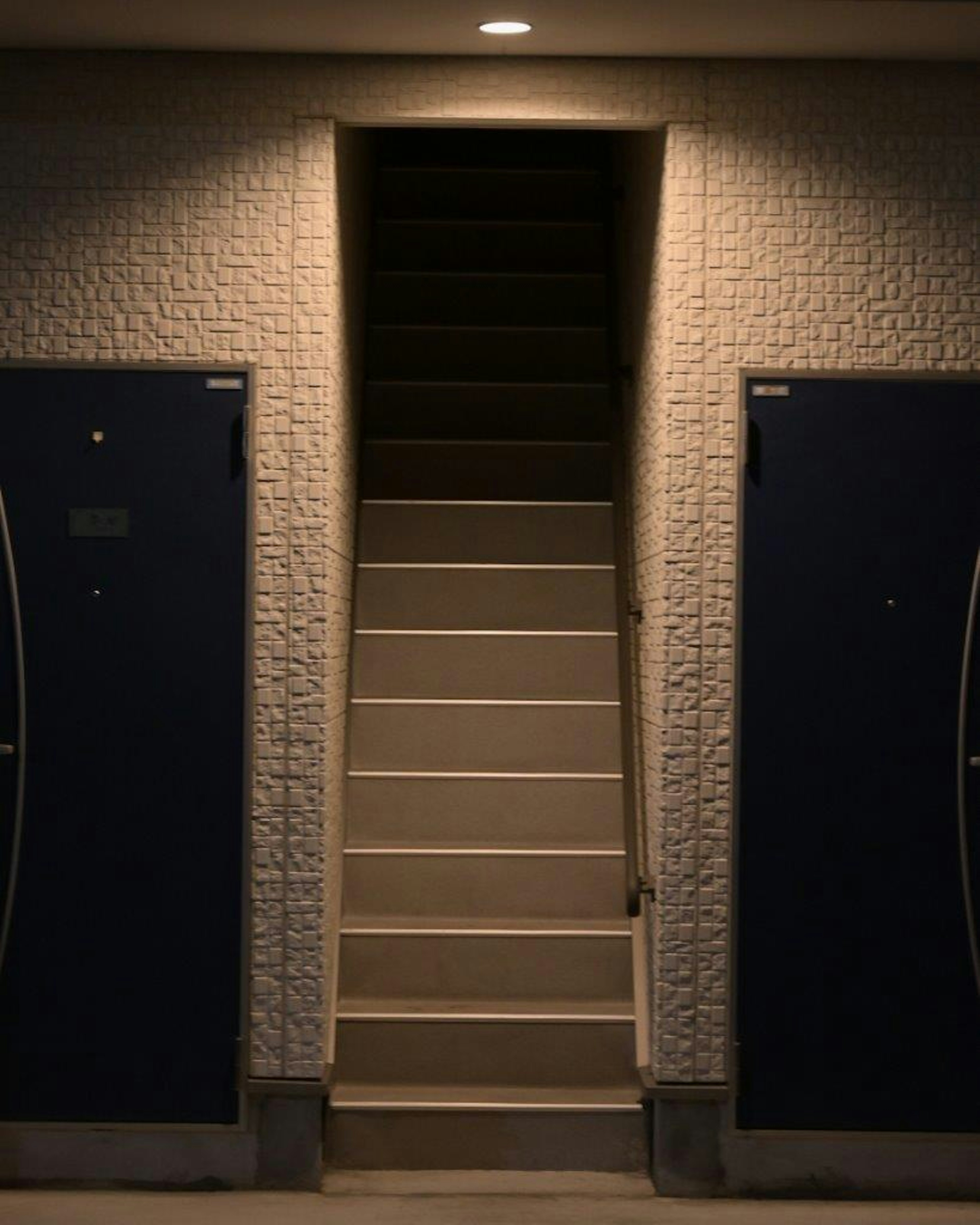 Imagen de un pasillo poco iluminado con escaleras y puertas a ambos lados