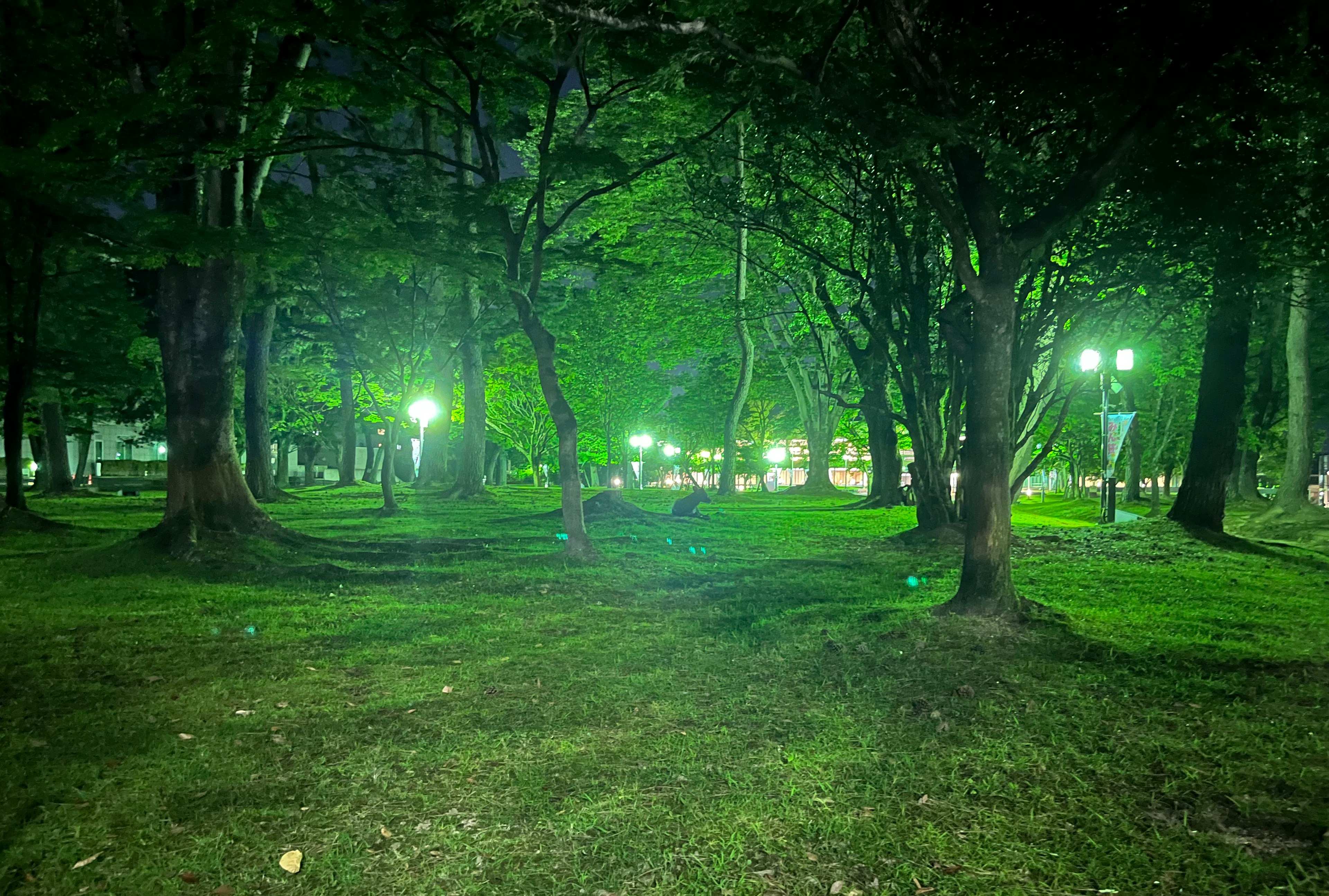 夜の公園で緑の木々と明かりが灯る静かな風景