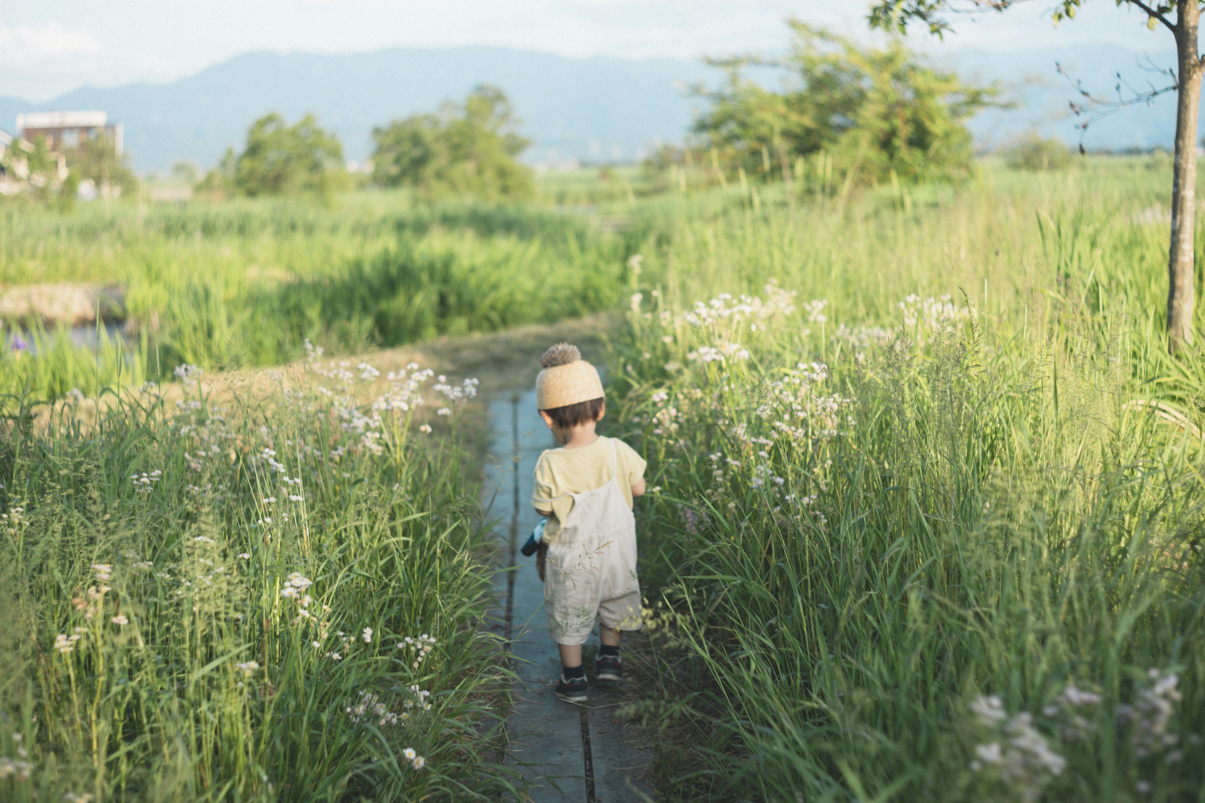 A child walking through a grassy field surrounded by flowers and greenery