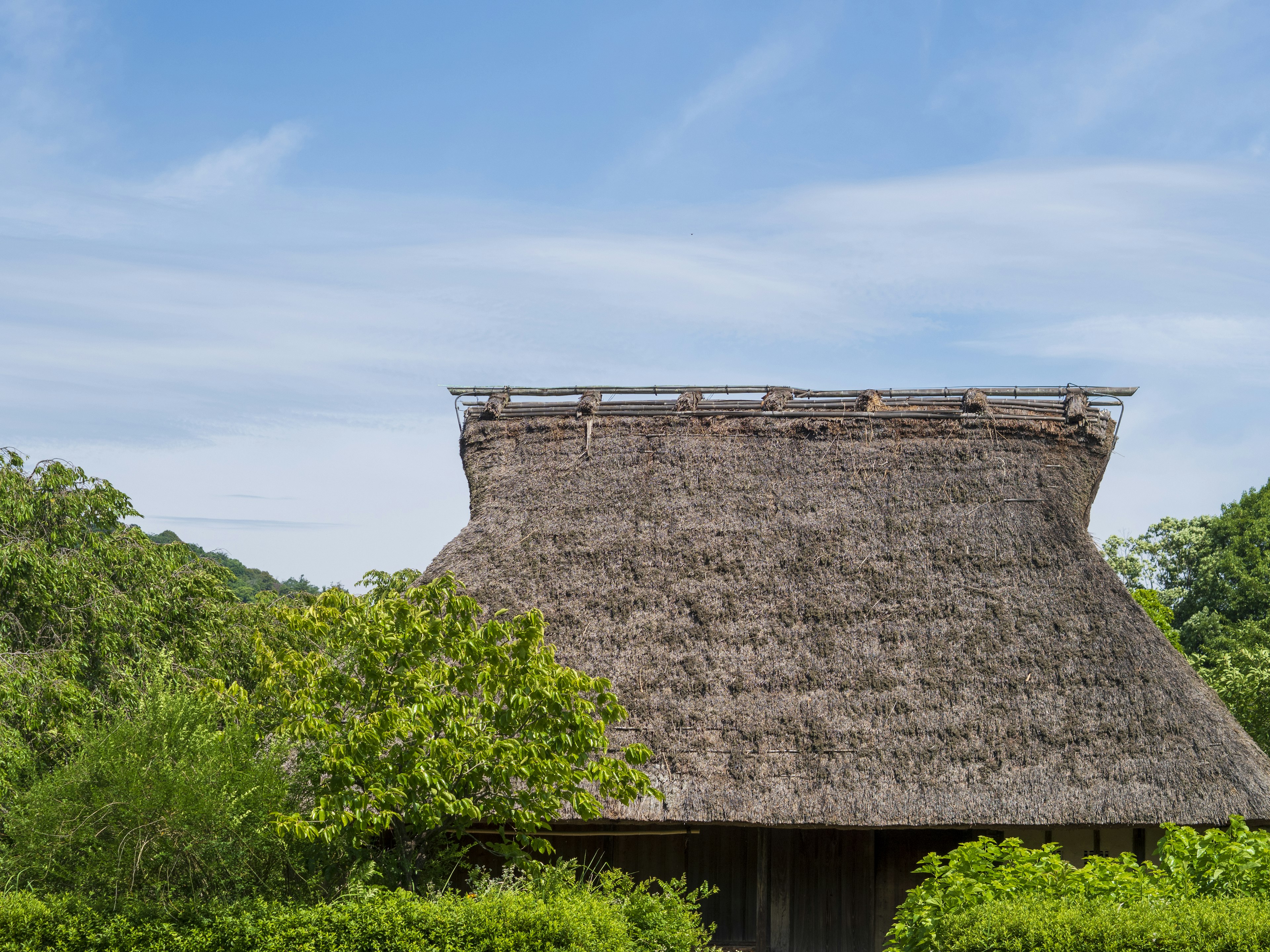 Traditional thatched roof house under blue sky surrounded by greenery