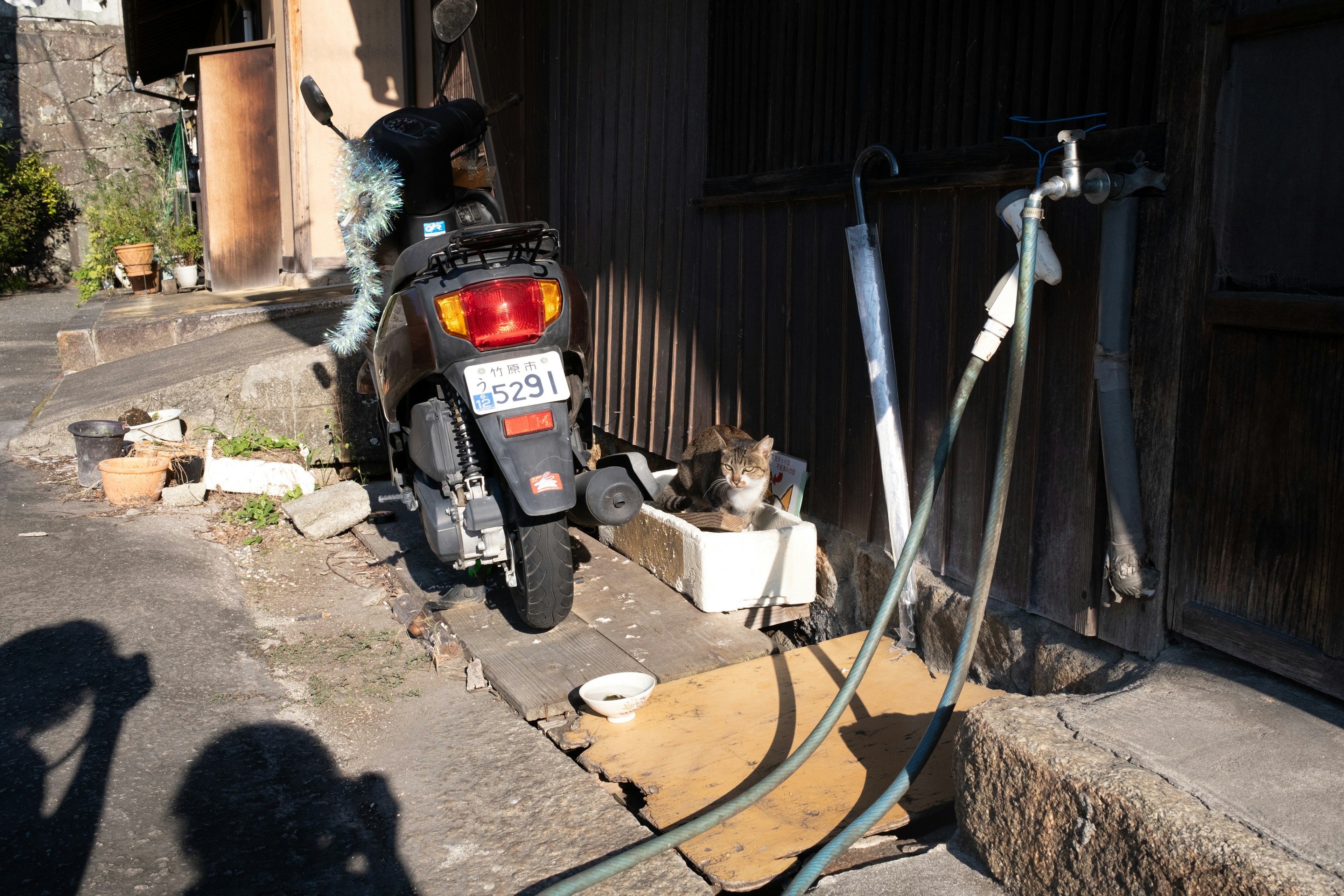 バイクと猫がいる路地の風景