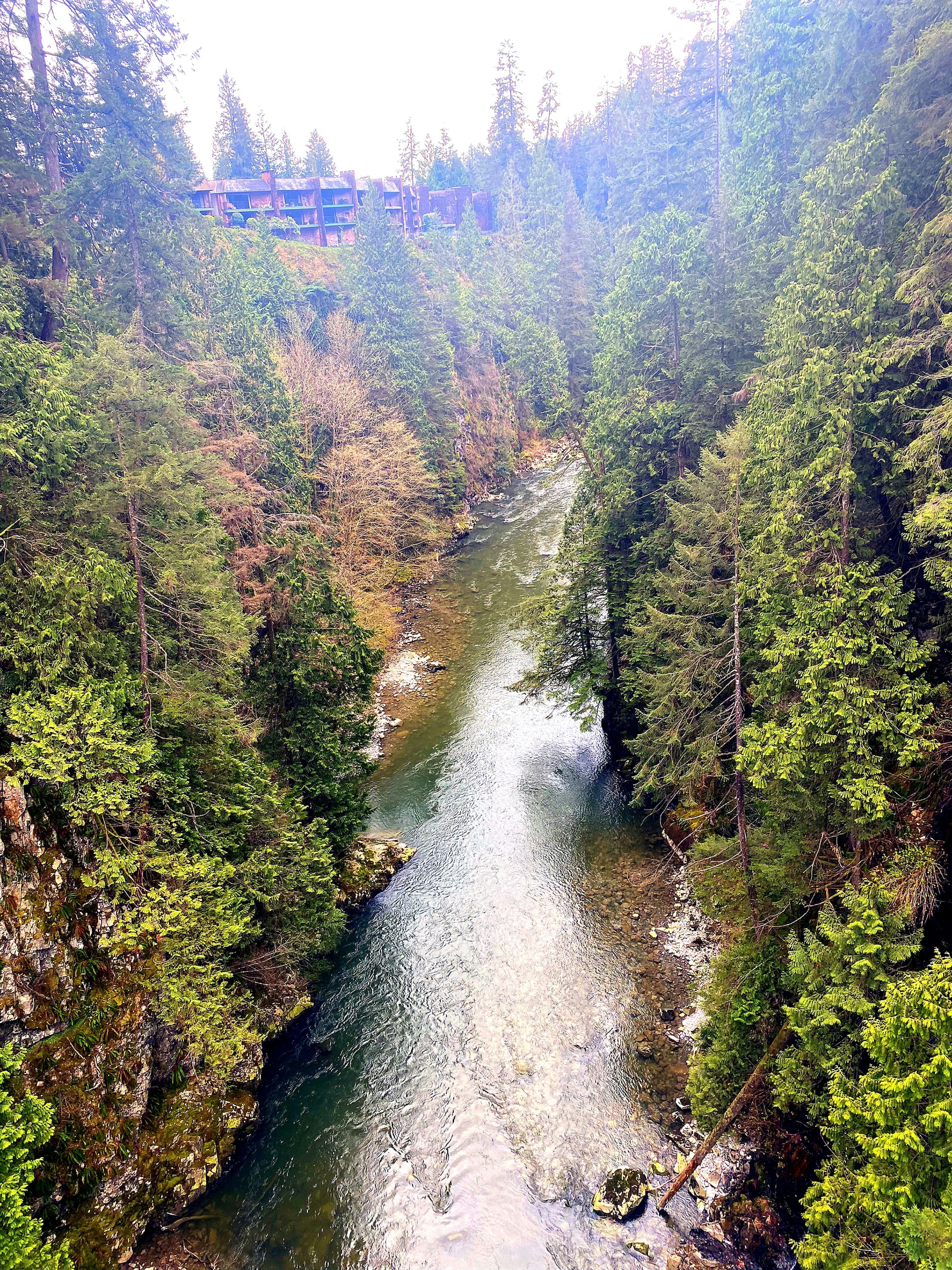 Scena di fiume serena circondata da una foresta lussureggiante