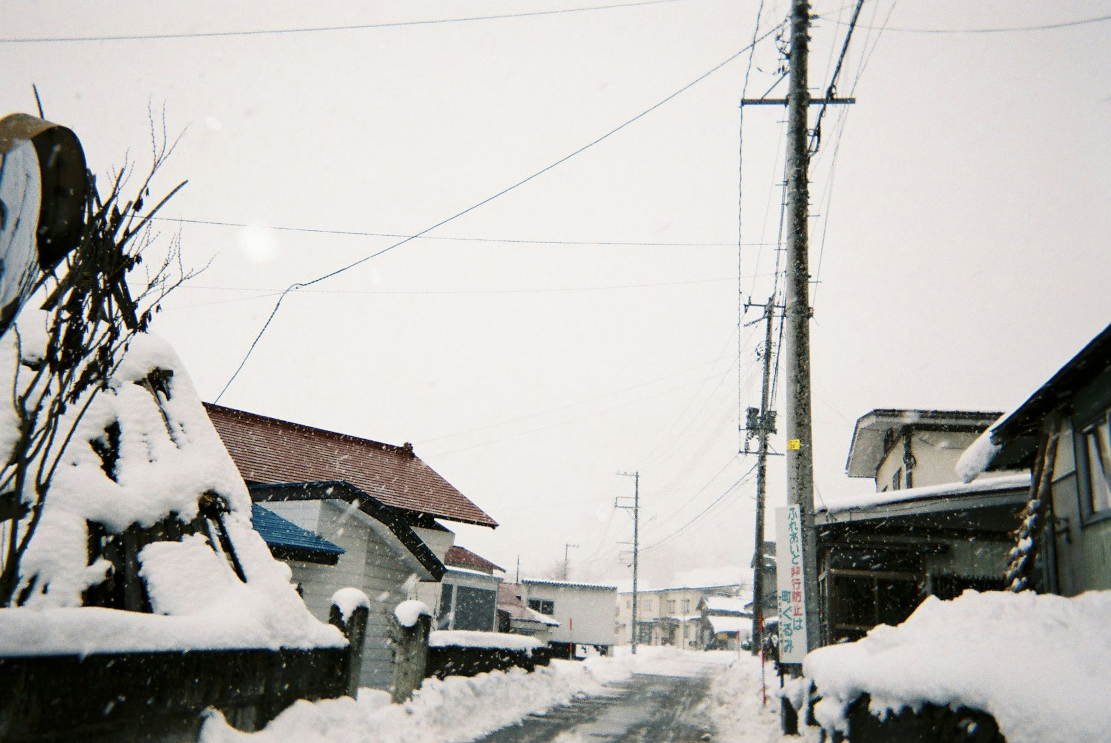 Quiet street scene covered in snow with utility poles