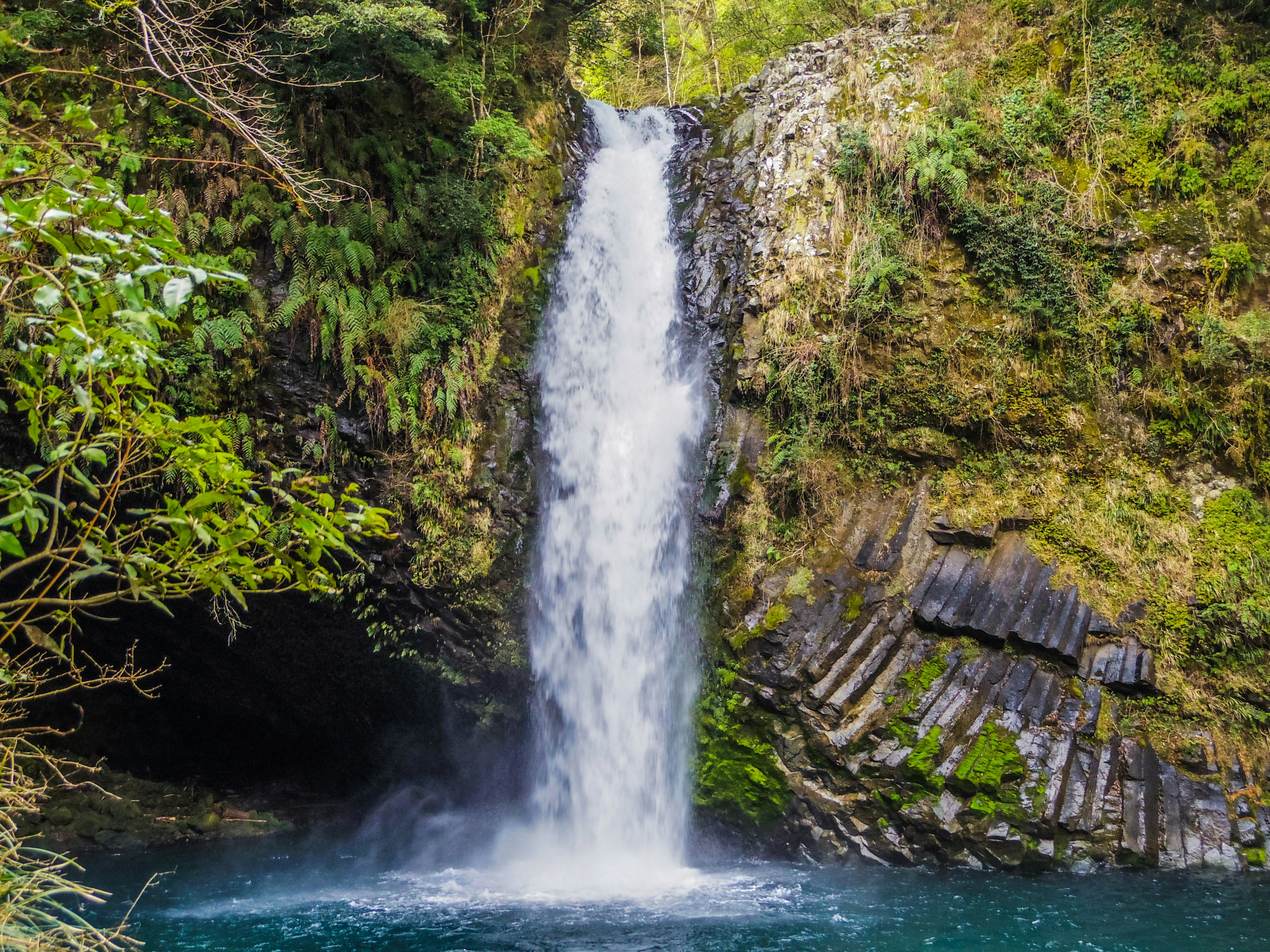 Ein schöner Wasserfall, der in einer üppigen grünen Umgebung fließt