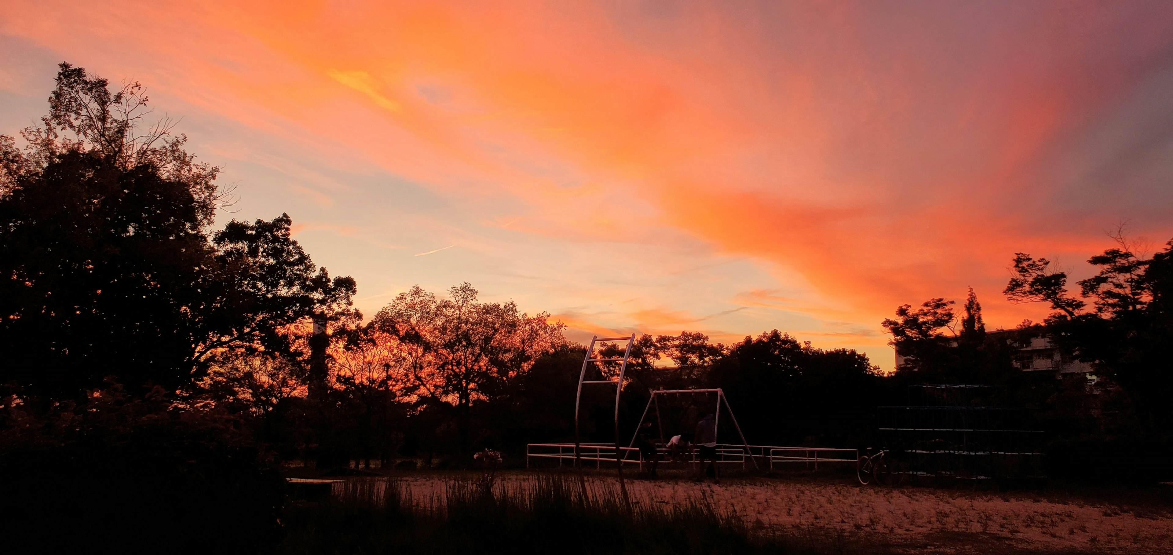 夕陽天空和樹木剪影的風景