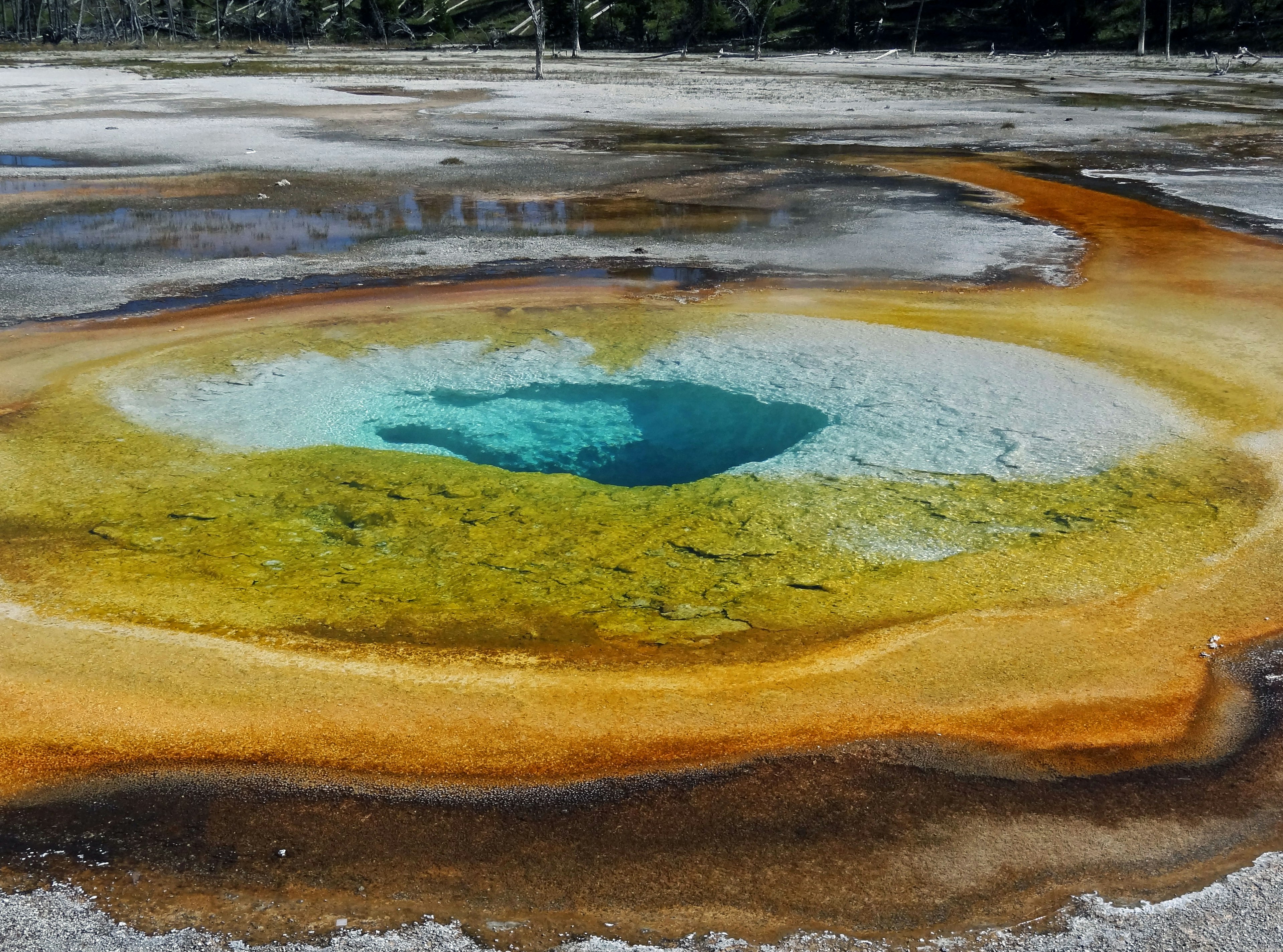 Grand Prismatic Spring ในอุทยานแห่งชาติ Yellowstone มีน้ำสีน้ำเงินสดใสและสีส้มรอบข้าง