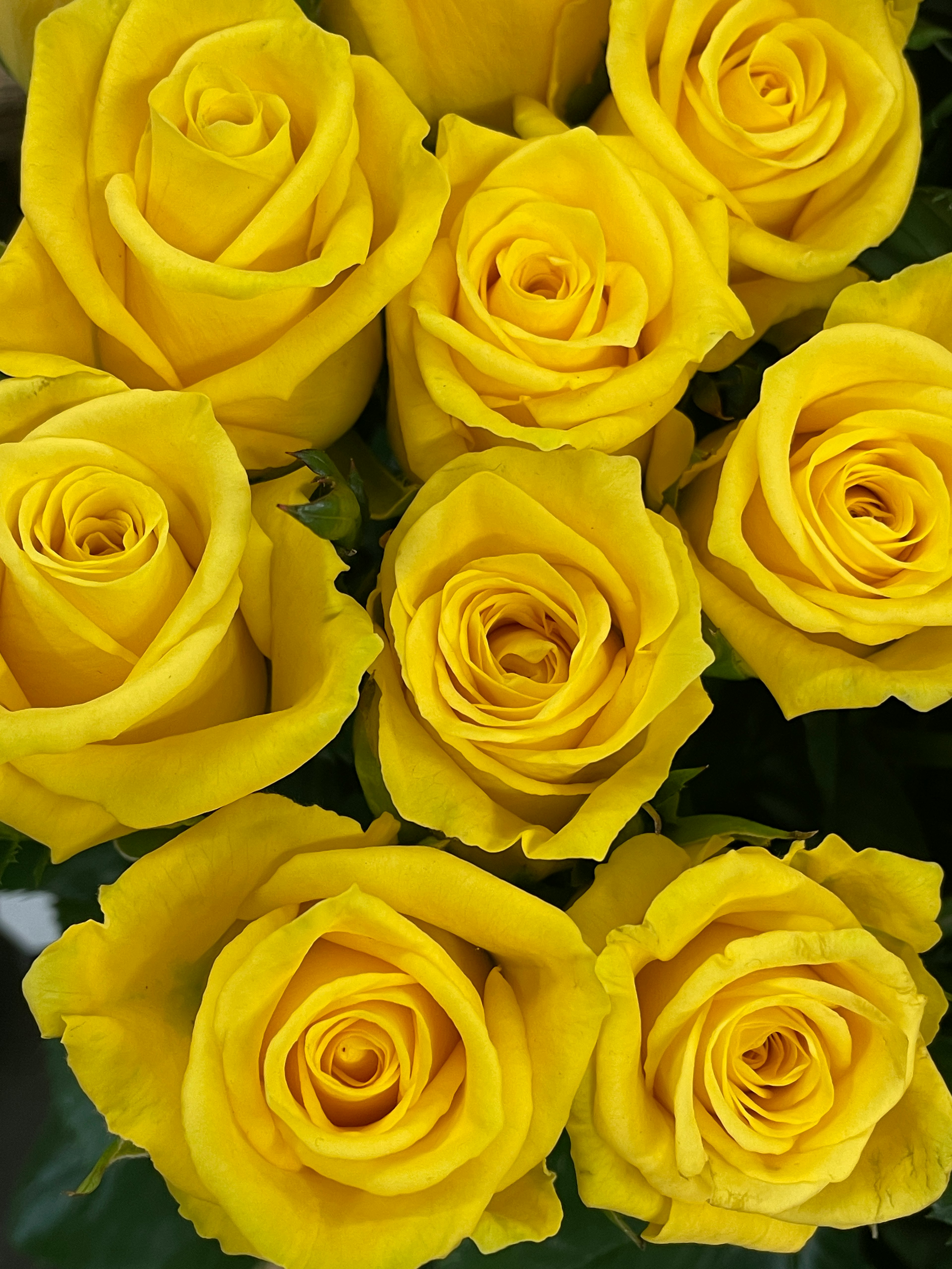 A vibrant arrangement of yellow roses beautifully displayed