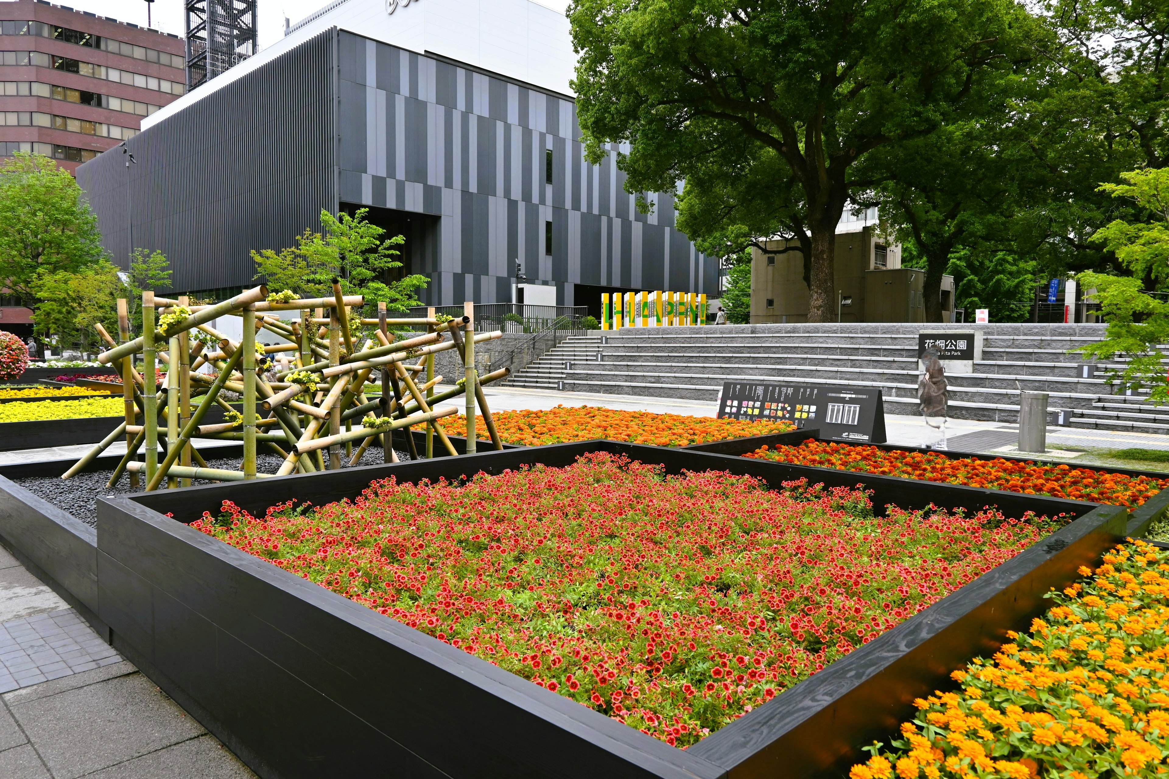 Park landscape featuring green trees and blooming flowers modern building in the background