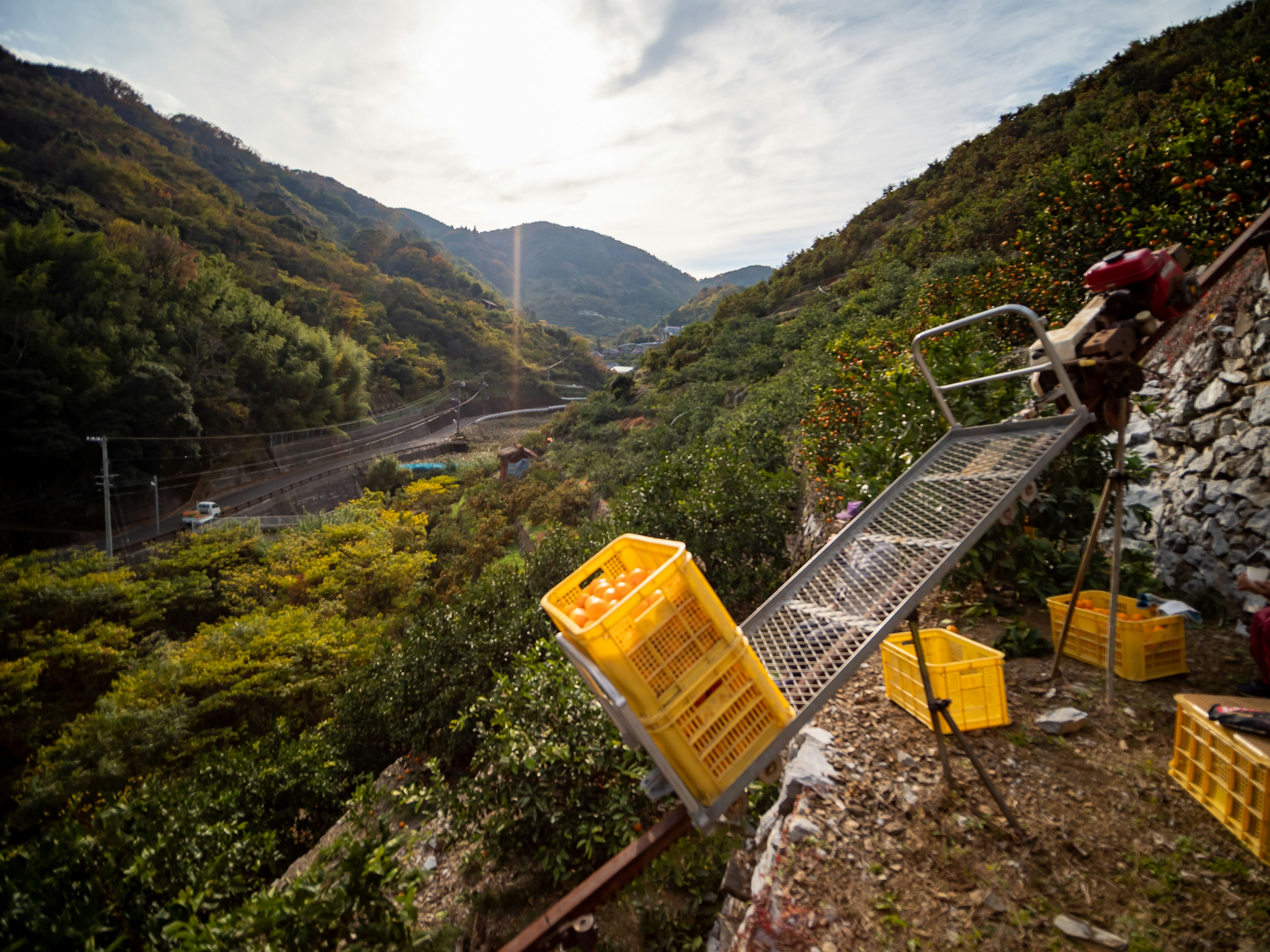 Mountain landscape with yellow crates in a farming scene