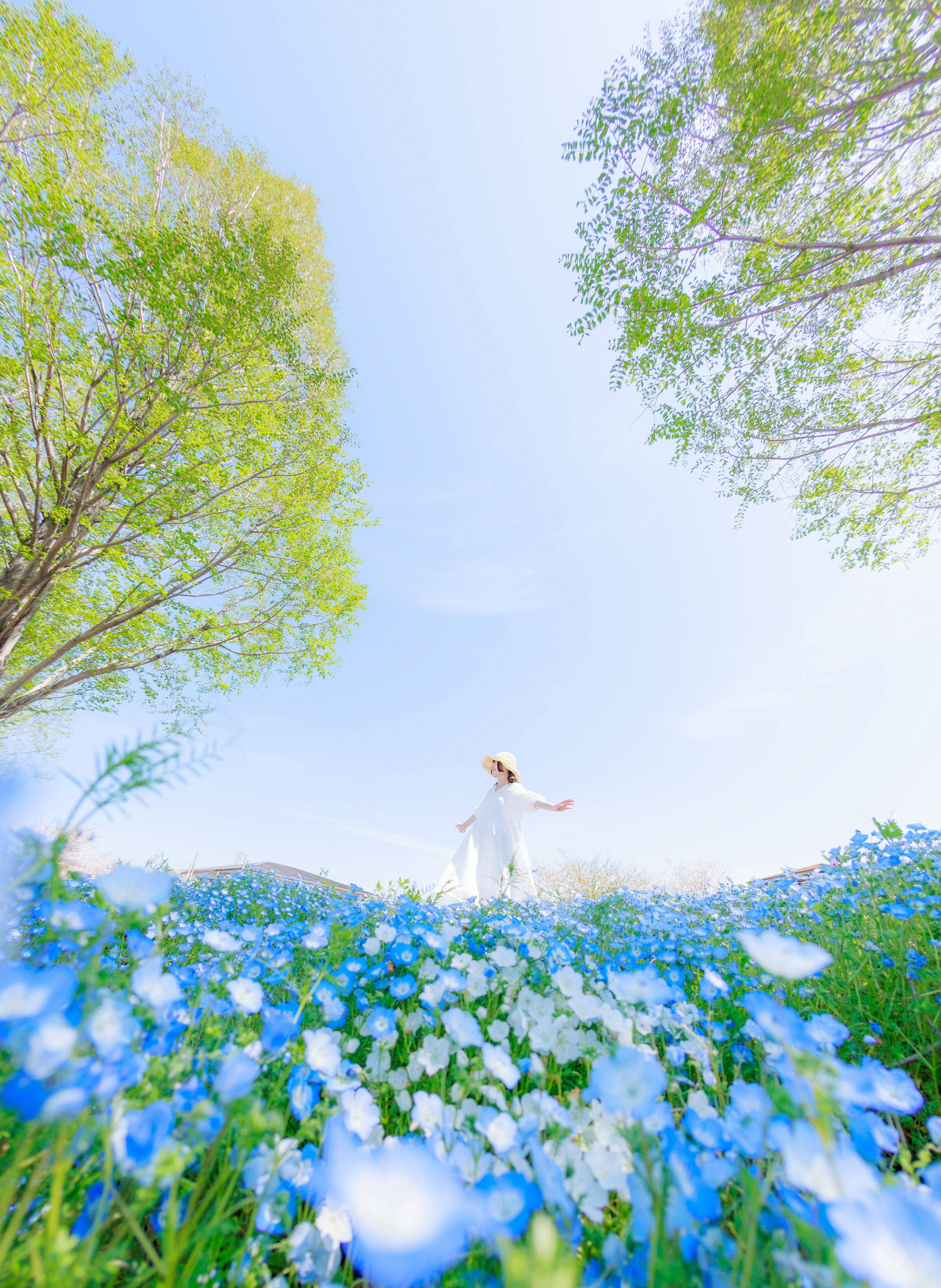 青い花に囲まれた女性が広い空の下で楽しそうに立っている