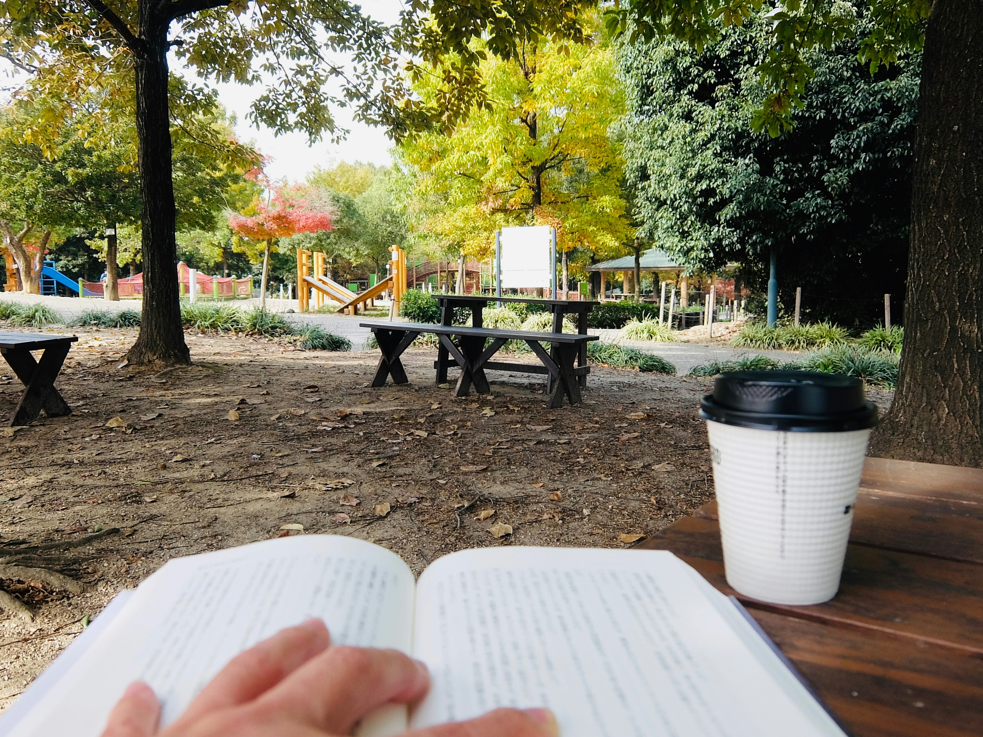 Una mano che tiene un libro aperto con una tazza di caffè su un tavolo in un parco con alberi colorati e un'area giochi