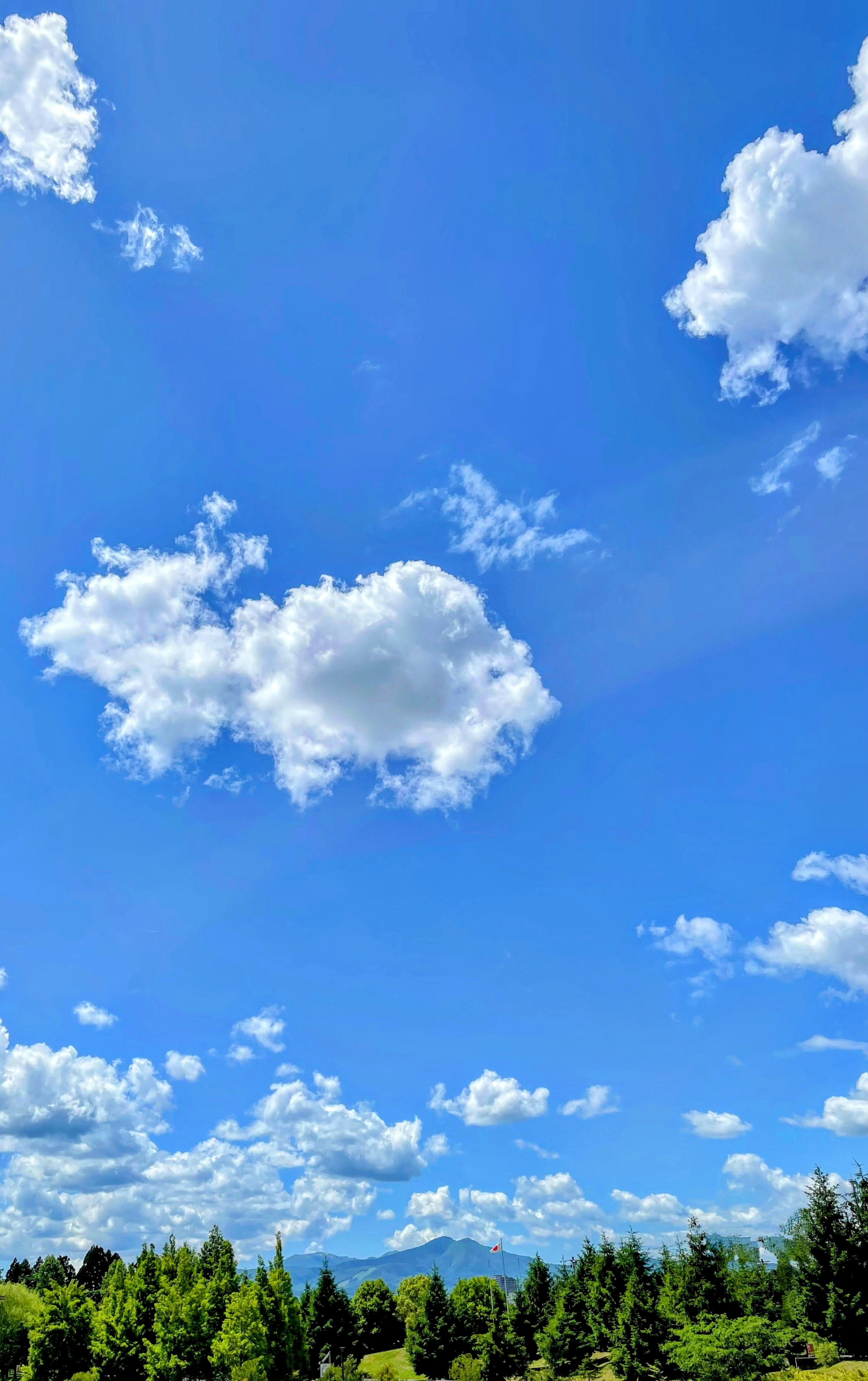 Un cielo azul claro con nubes blancas esponjosas