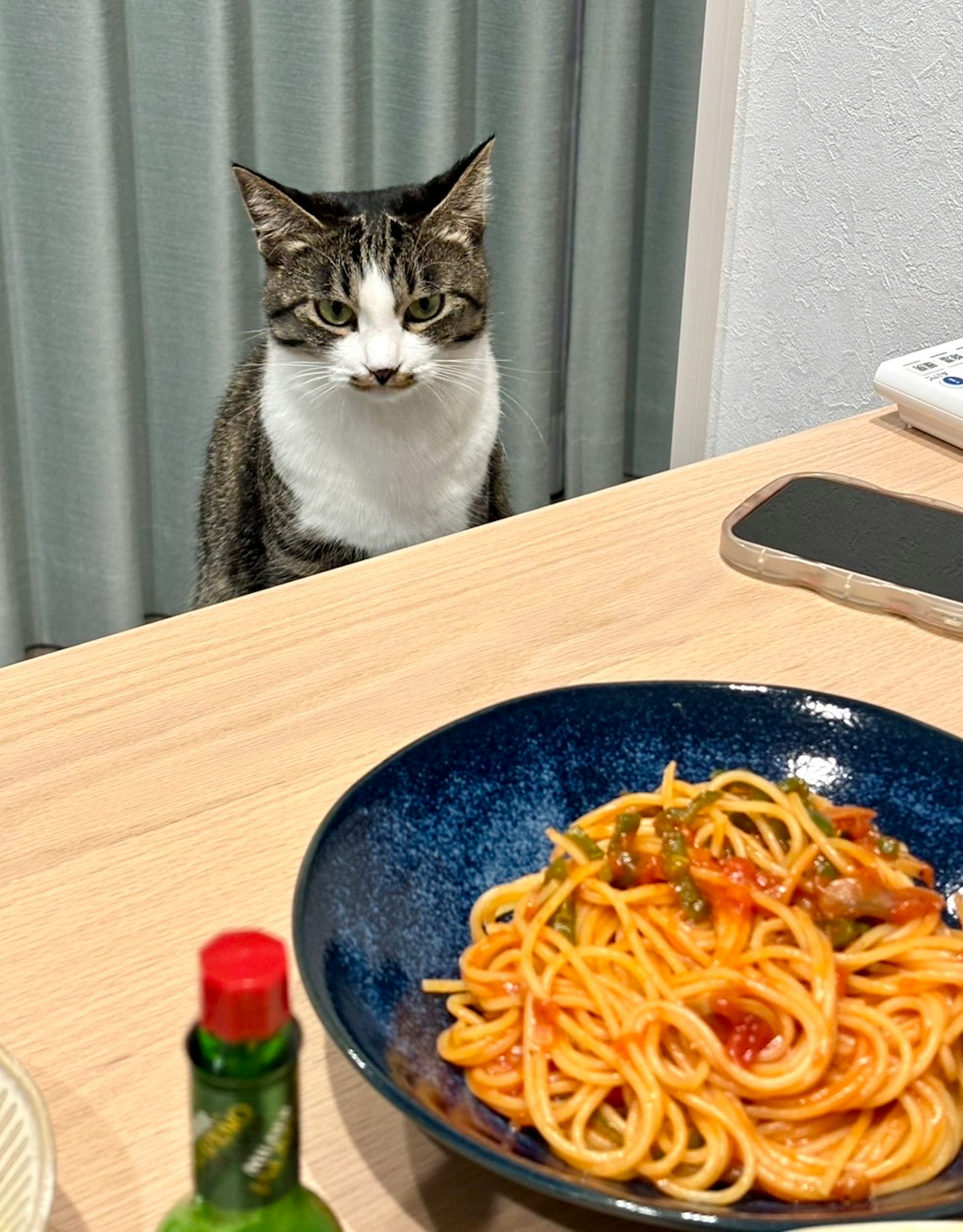 Katze, die am Tisch sitzt und auf eine Schüssel Spaghetti schaut