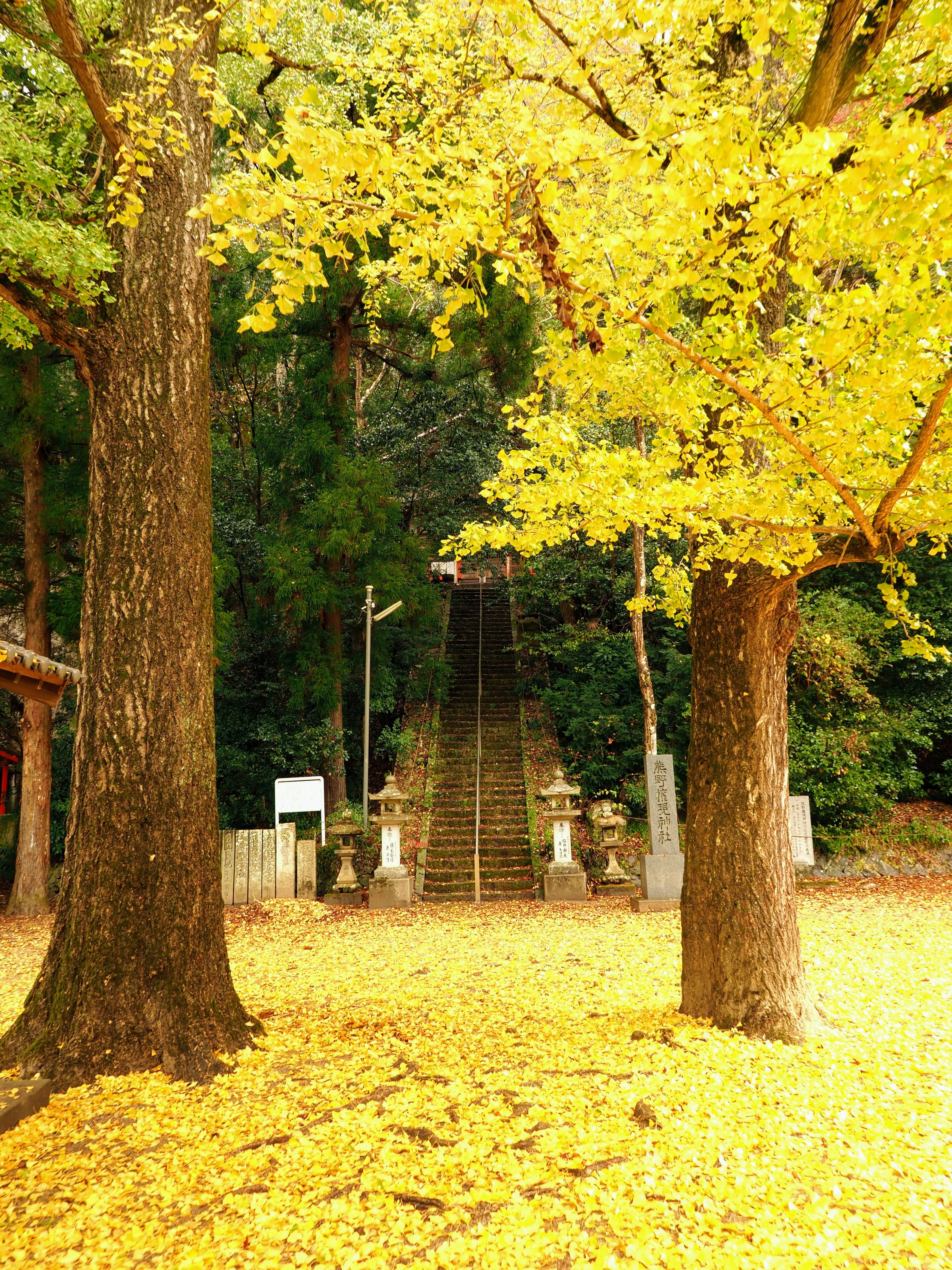 Vista panoramica di scale circondate da foglie gialle d'autunno