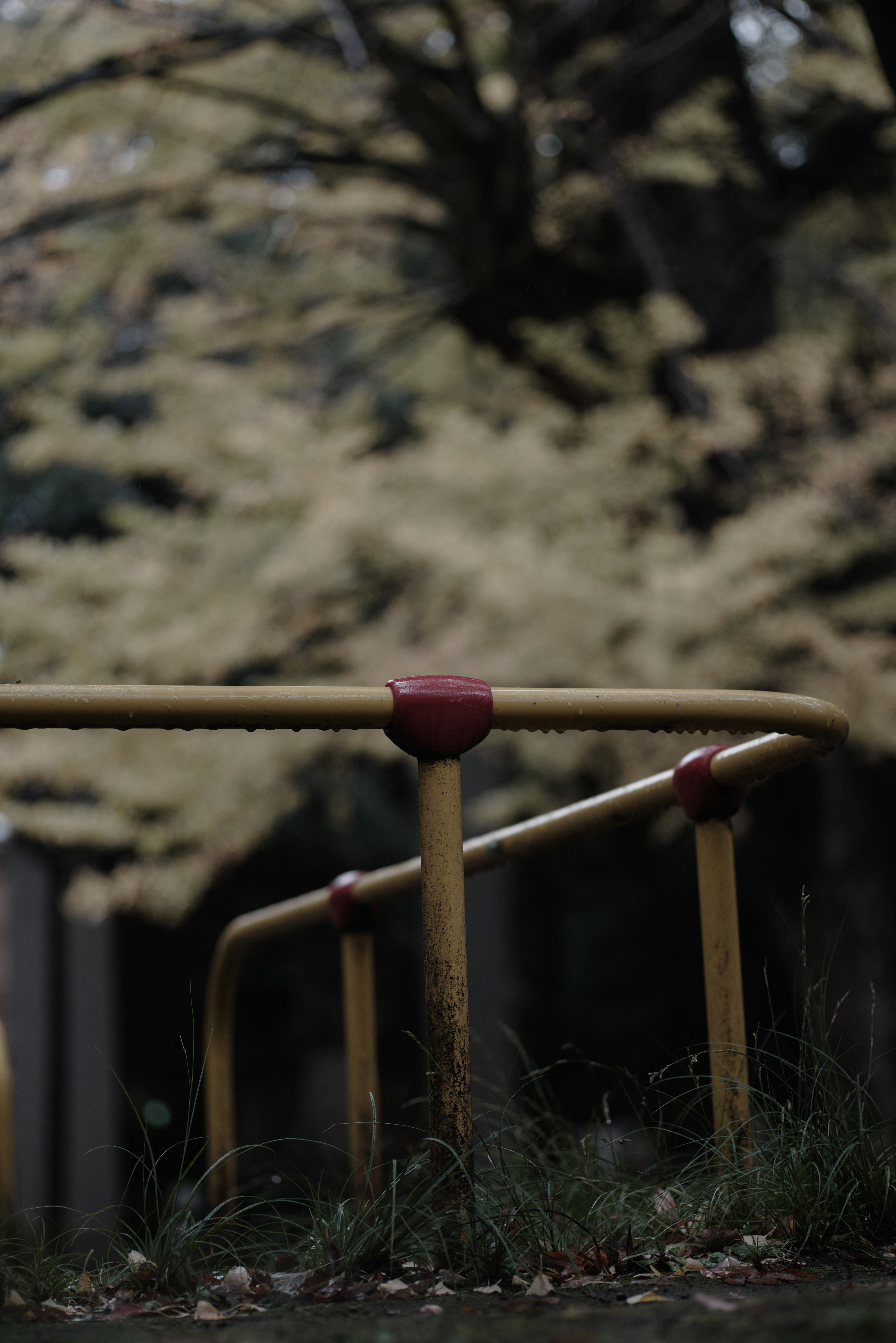 Yellow railing with red accents in a park setting surrounded by green grass and trees