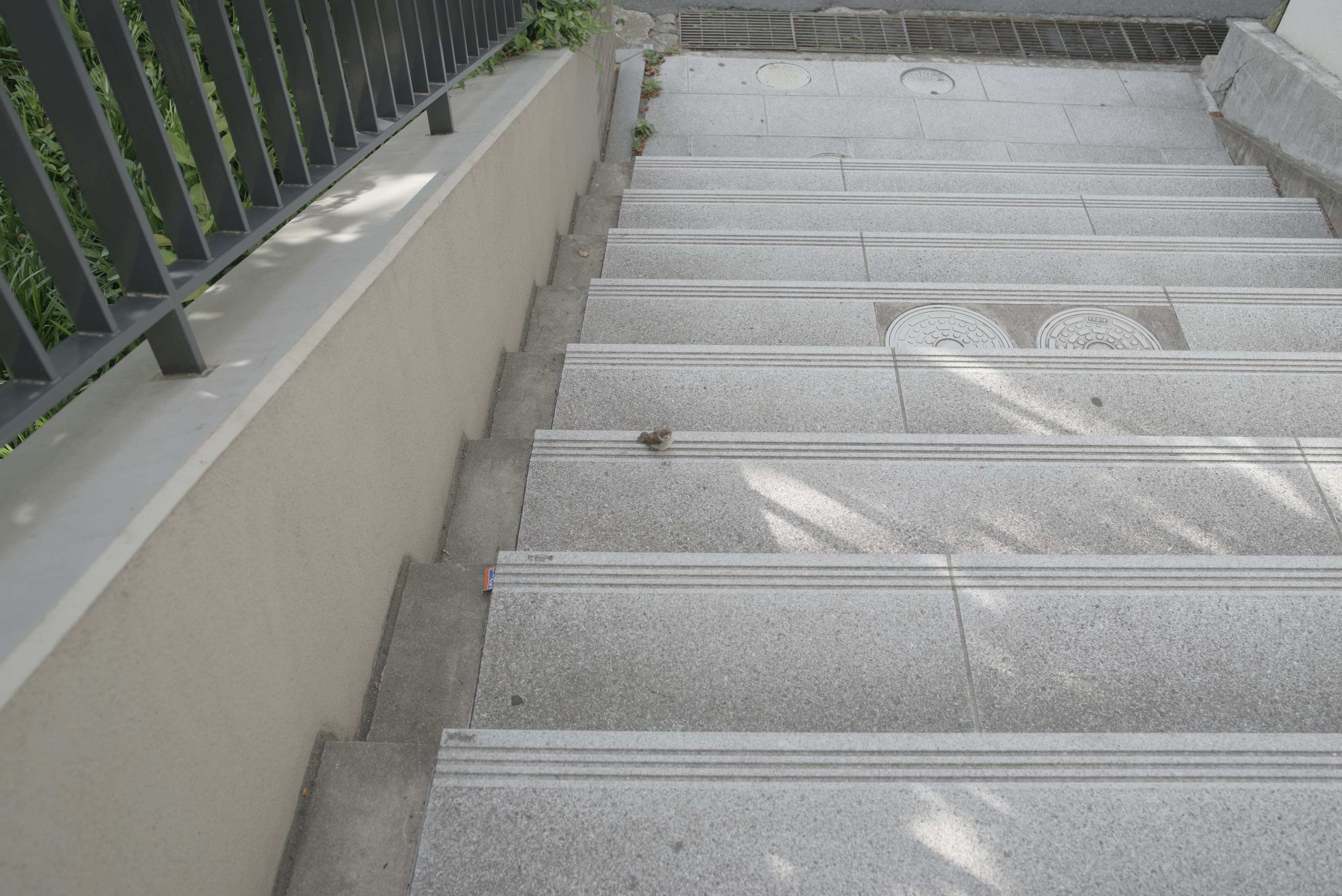 Stone steps with shadows cast by surrounding greenery