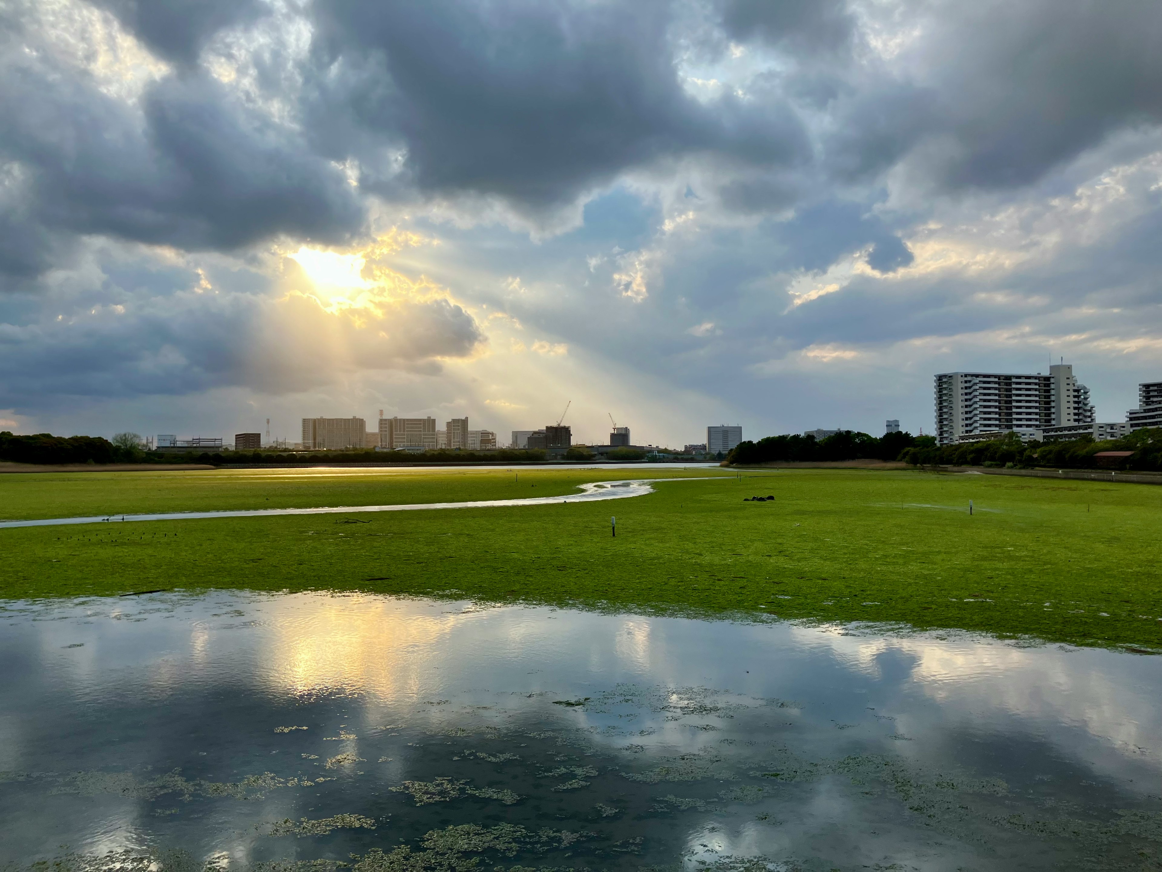 広い緑地と都市の景観を背景に、雲の間から差し込む光が水面に反射している風景