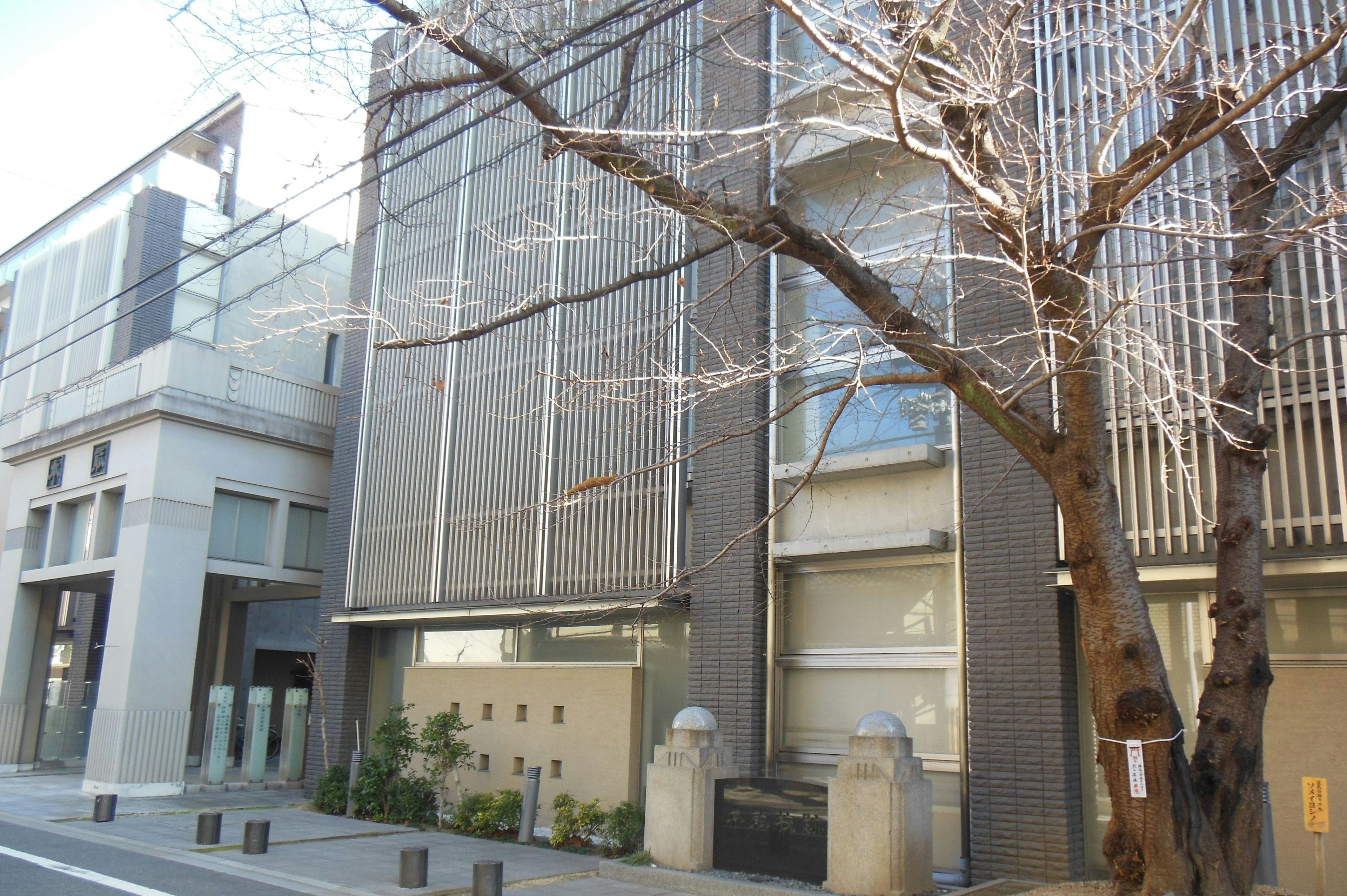 Escena urbana con arquitectura moderna y un árbol de invierno