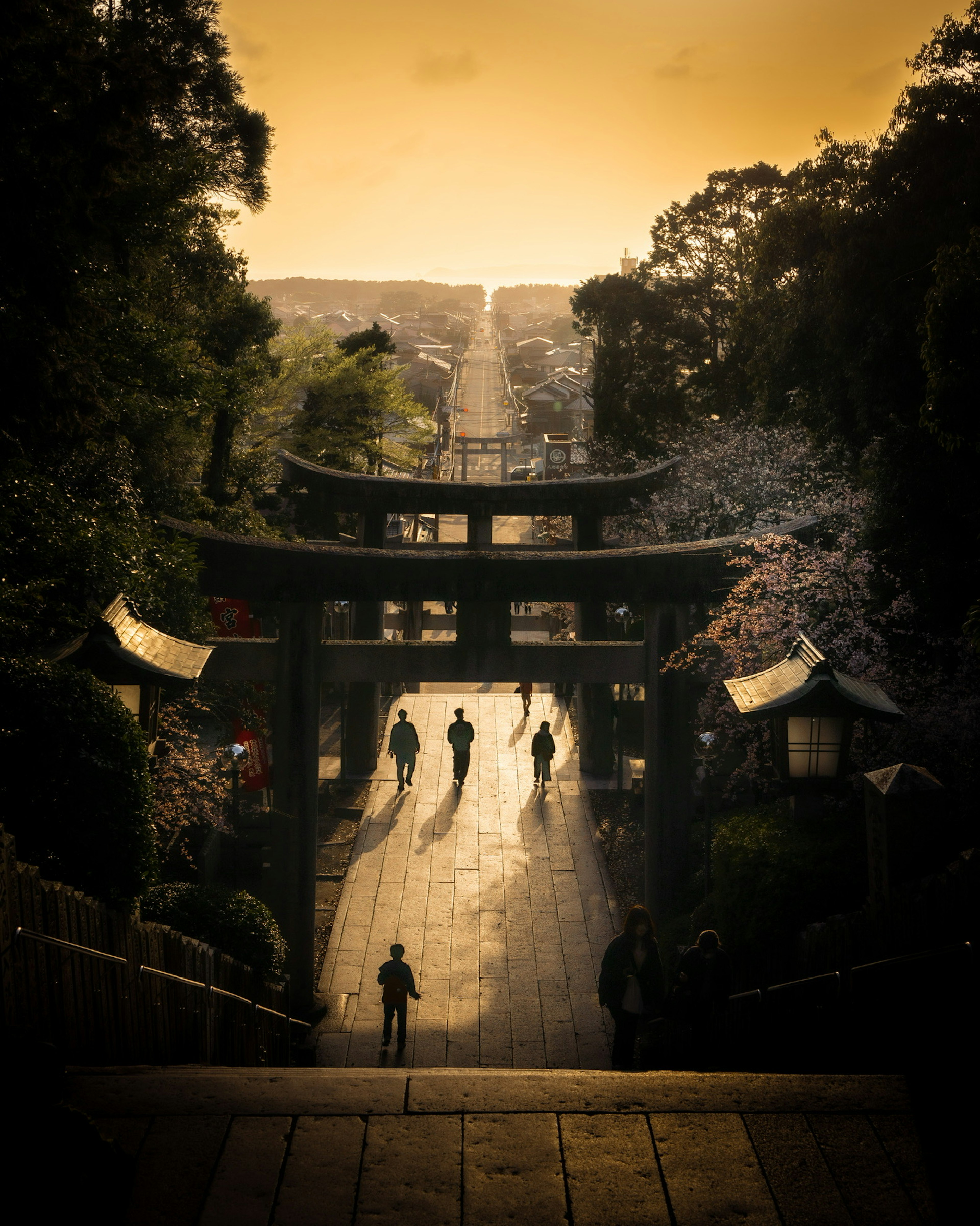 Silhouettes of people walking under a torii gate with cherry blossom trees at sunset