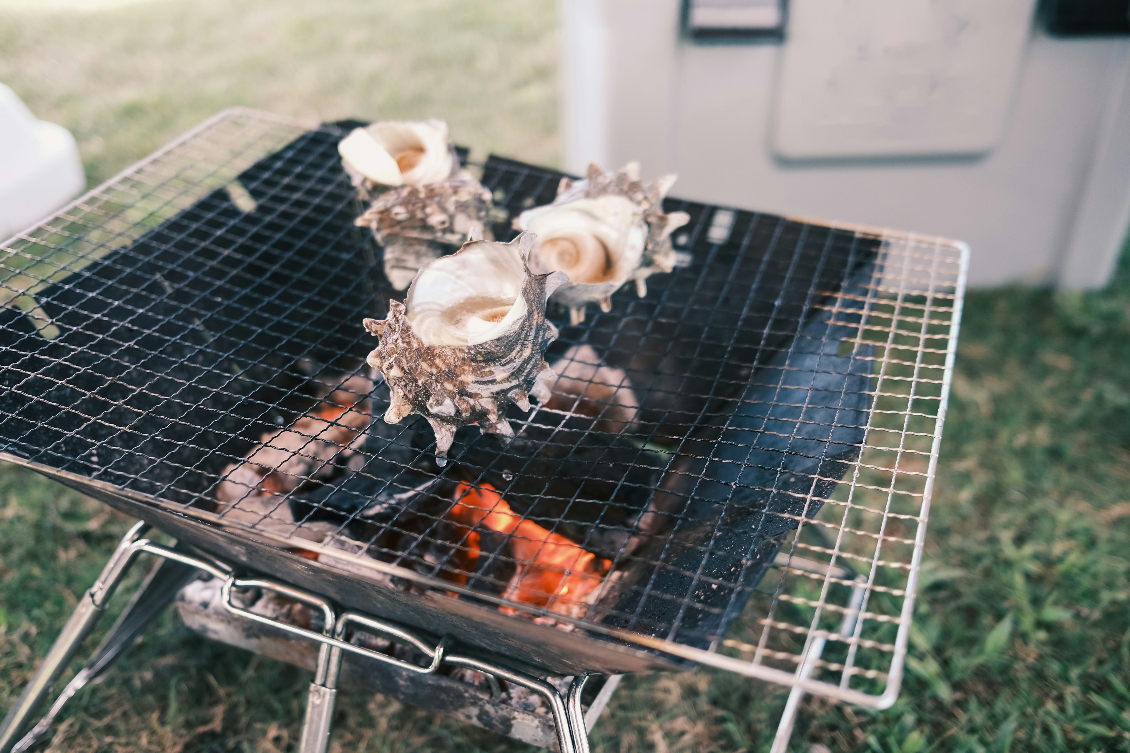 Grilled shellfish on a barbecue grill with flames visible