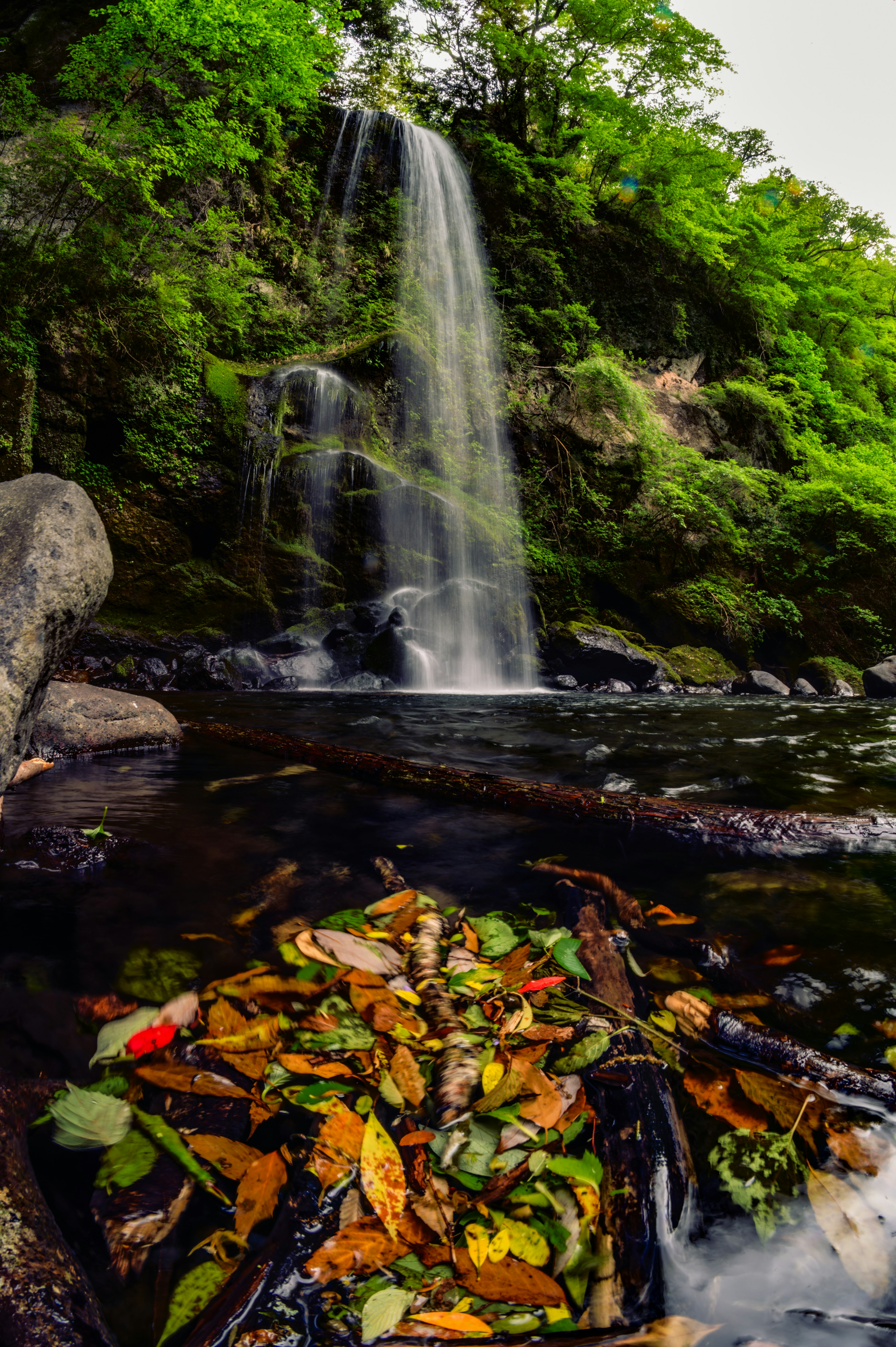 Un paysage tranquille de feuilles colorées flottant sur l'eau avec une cascade en arrière-plan