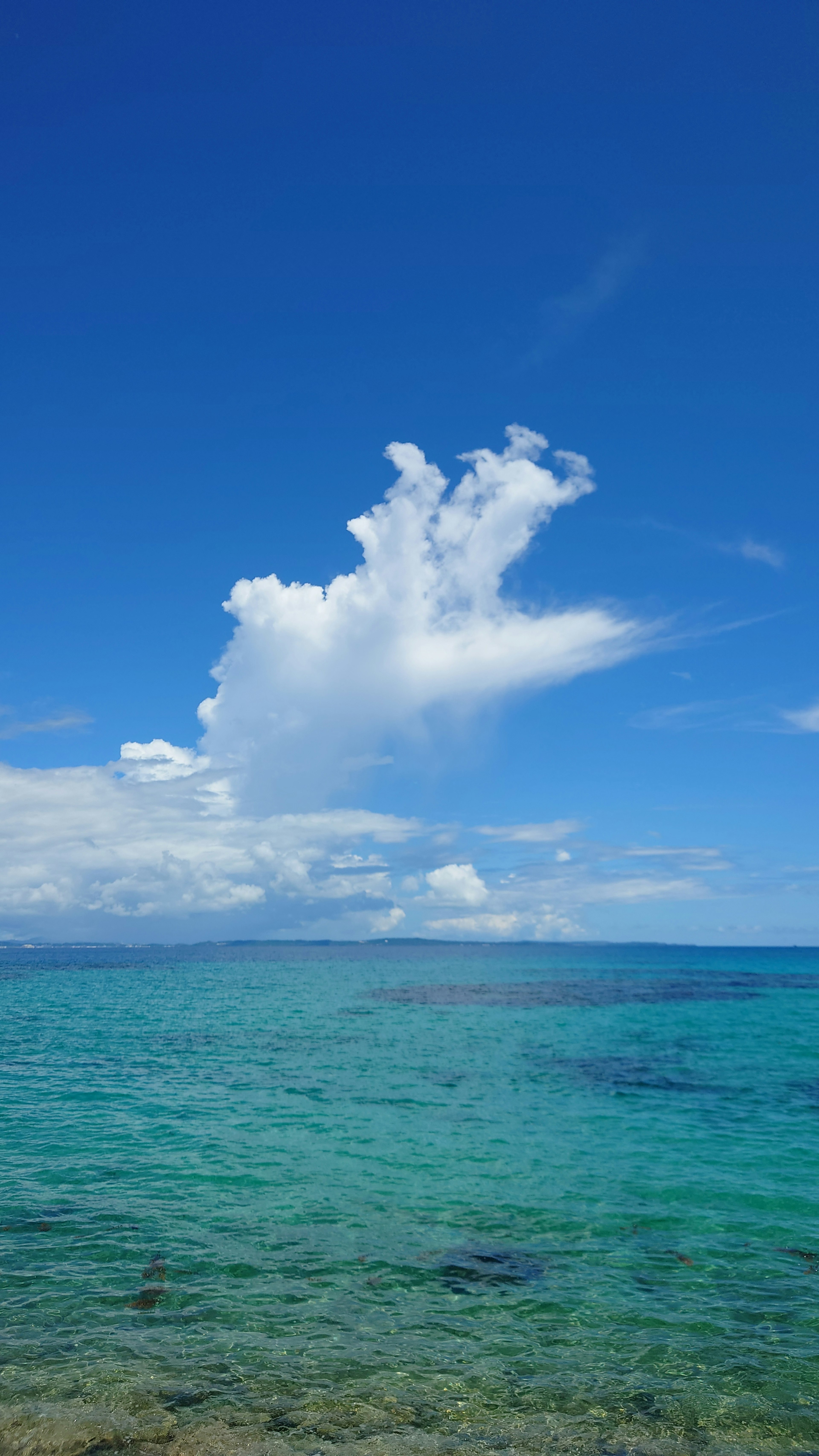 Clear blue sky with a large white cloud over a turquoise sea