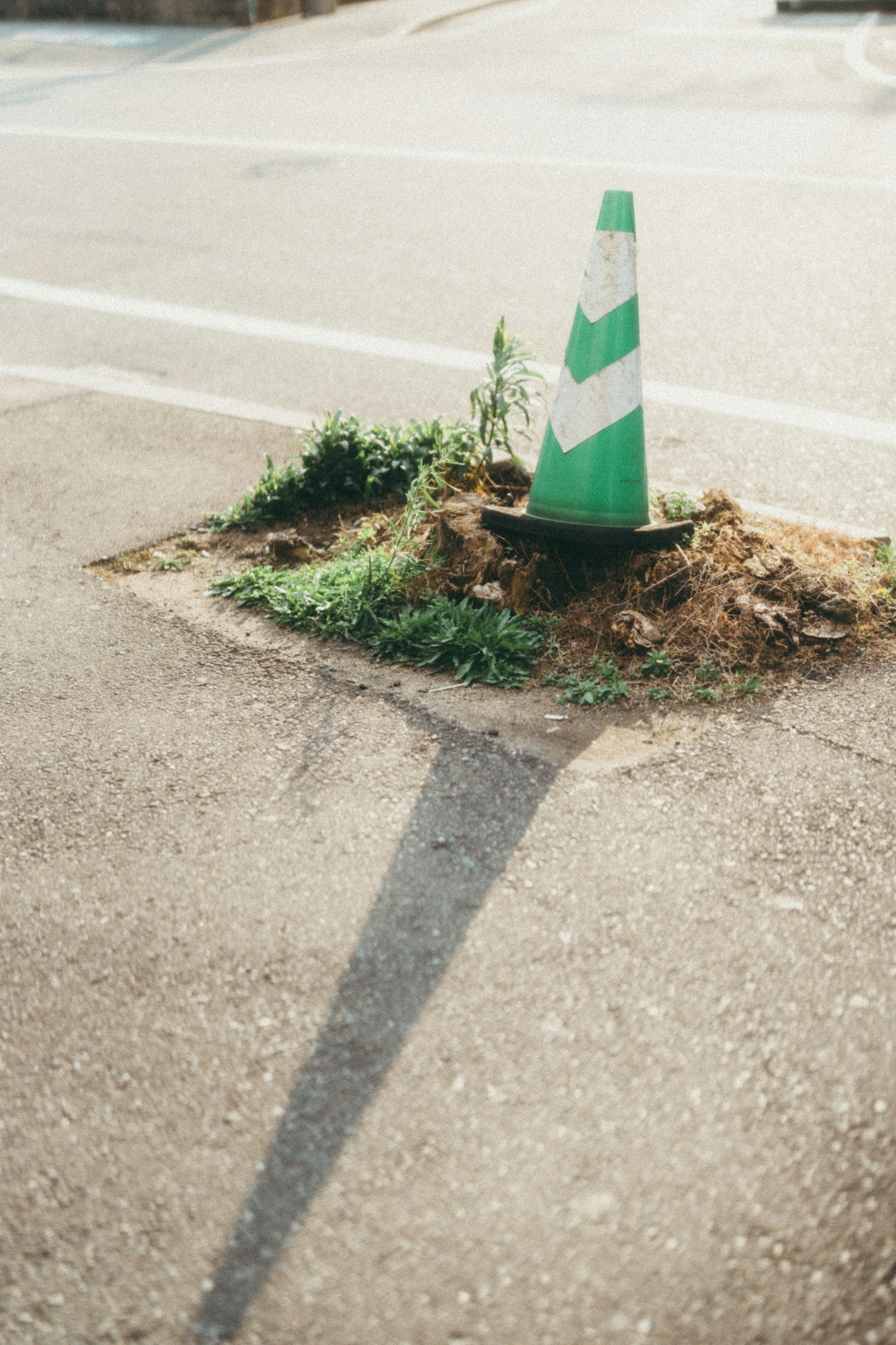 Cone stradale verde e bianco in piedi sul ciglio della strada con erba intorno e la sua ombra