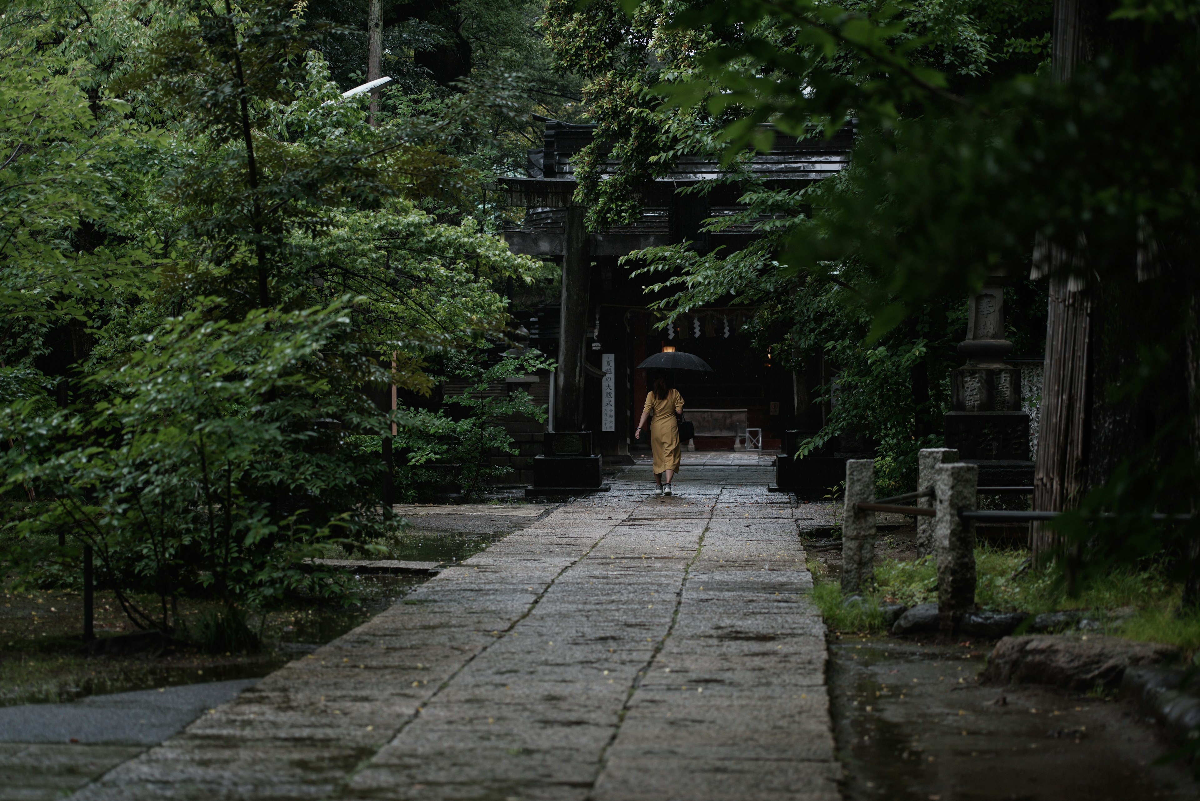 Monk walking along a stone path in a serene forest