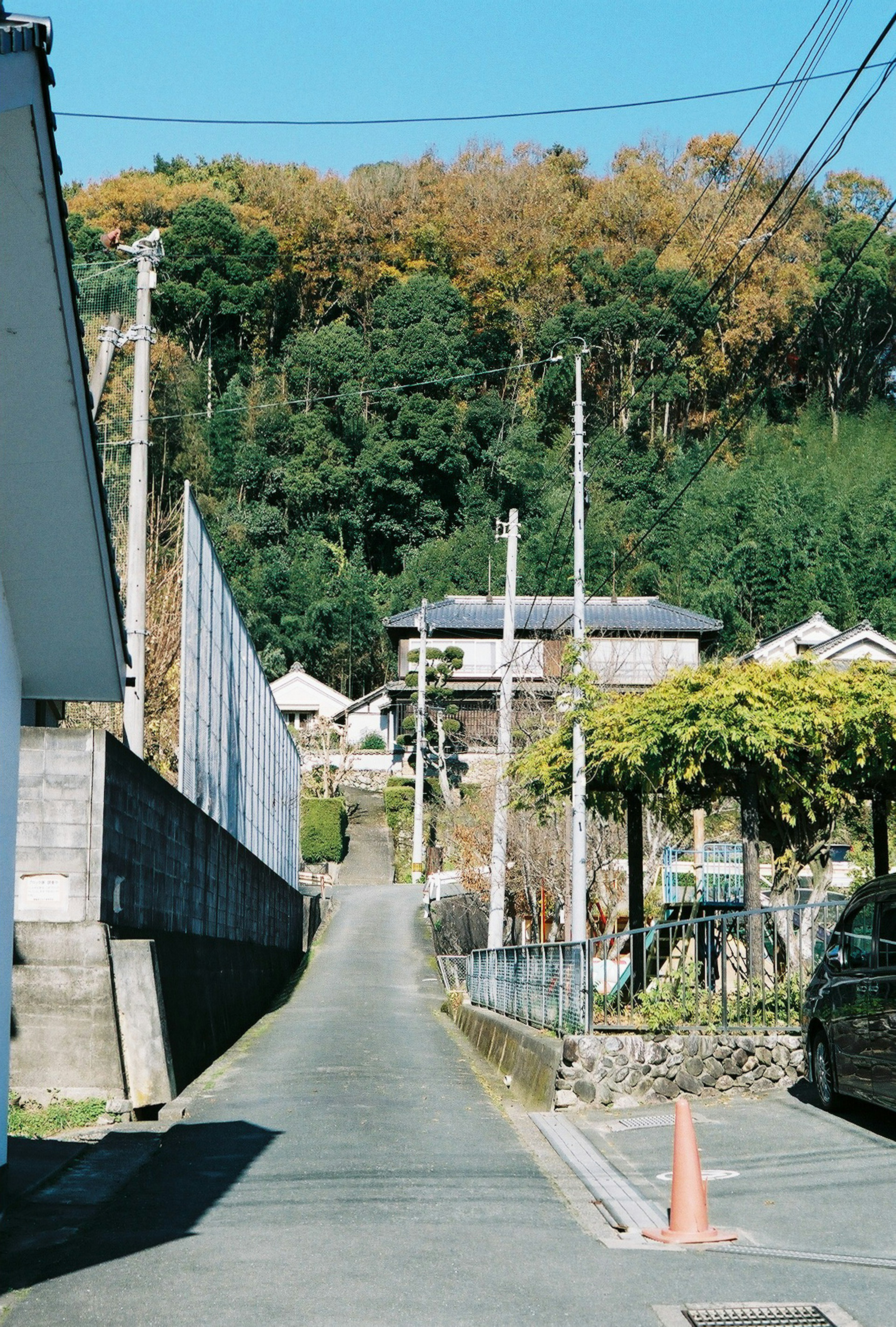 Scenic pathway surrounded by green trees featuring houses and autumn foliage