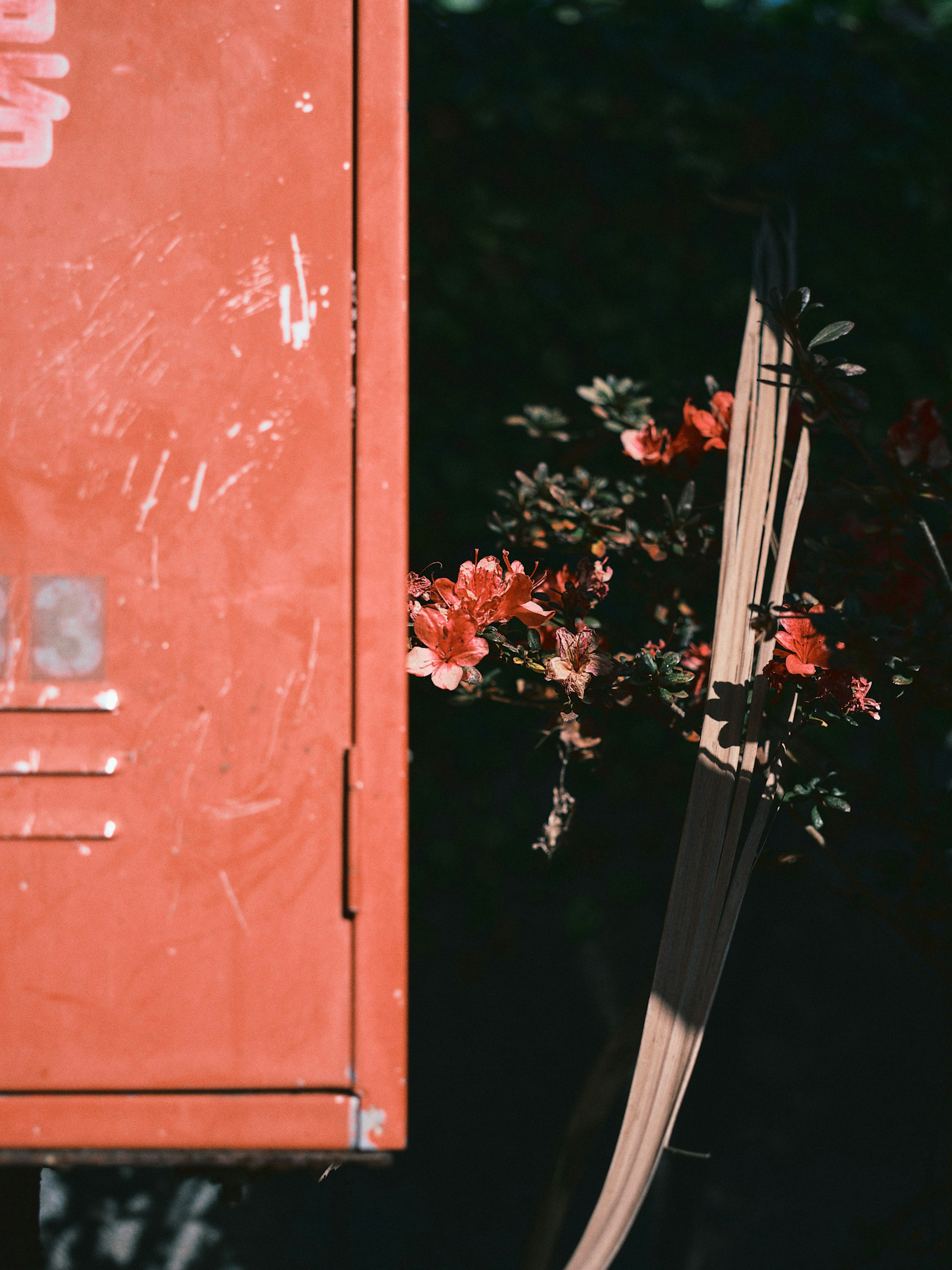 Red locker with flowers and part of an umbrella