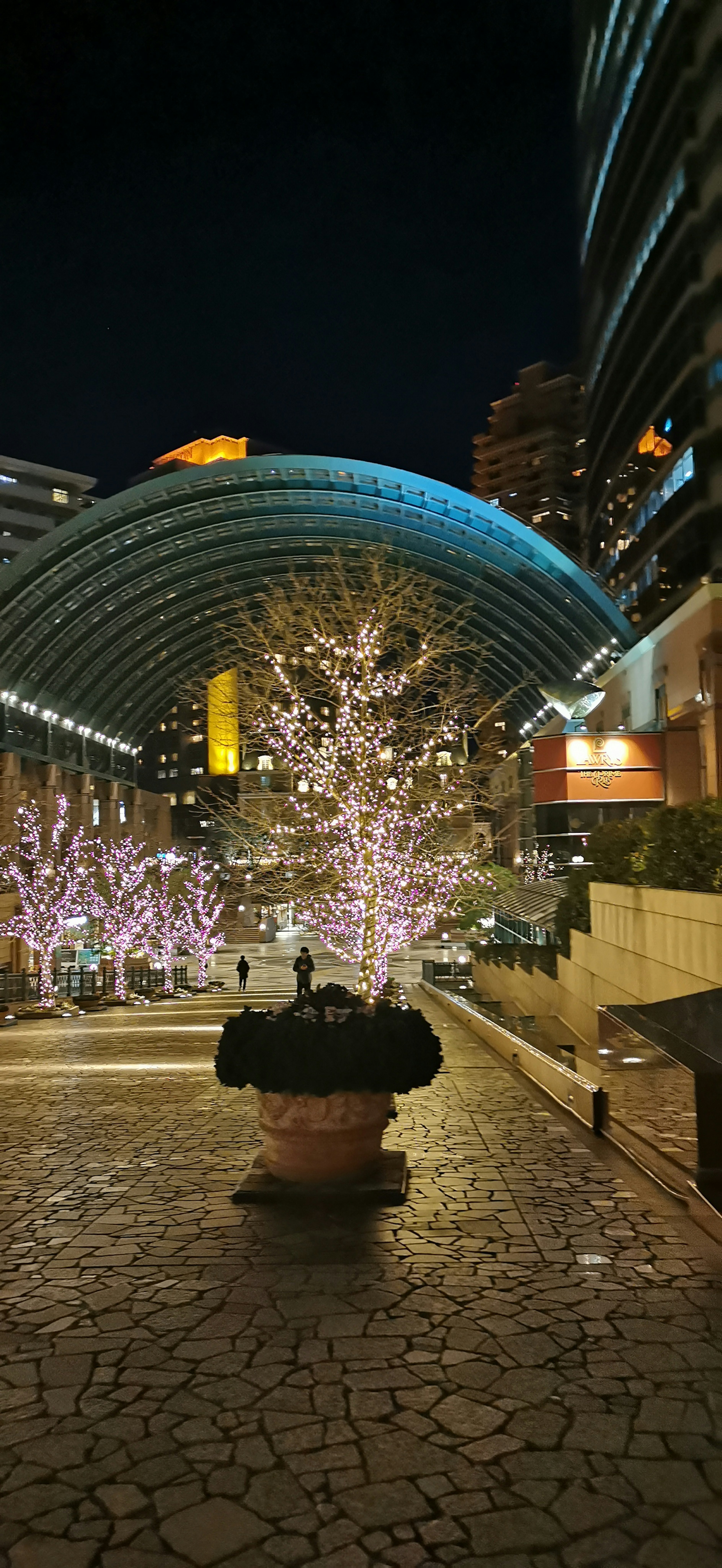 Illuminated trees and arching roof in a night cityscape