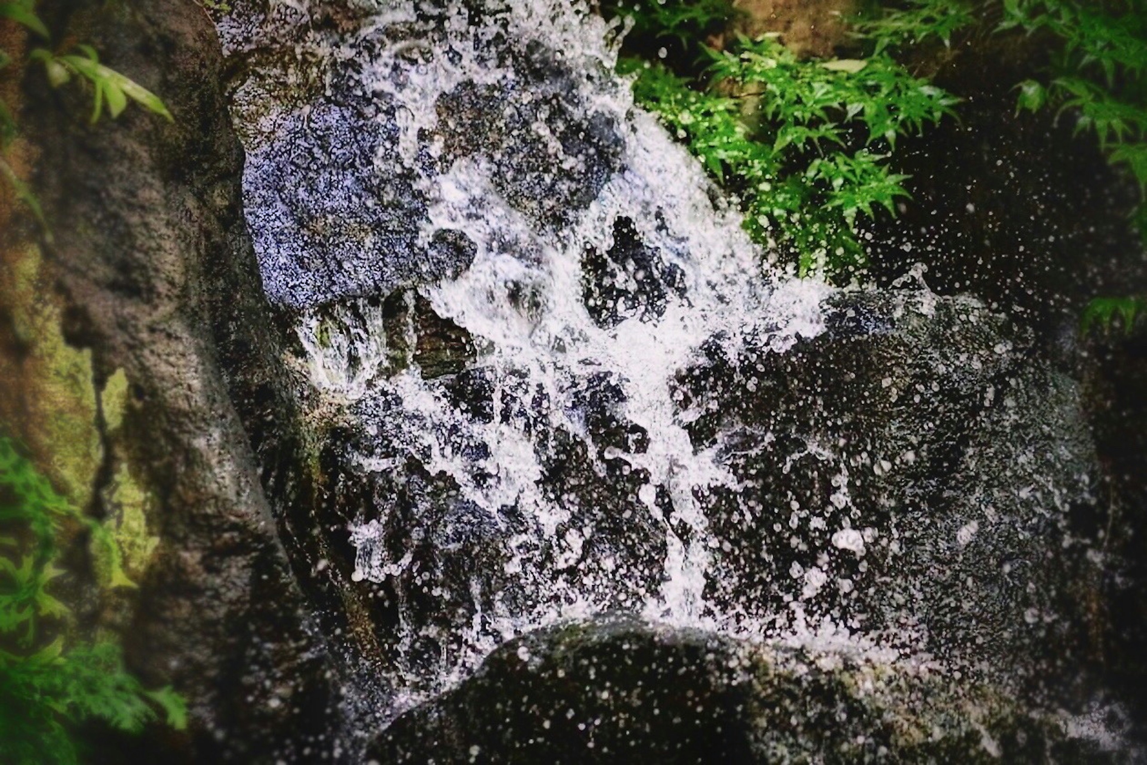 Agua cayendo sobre rocas en un entorno verde