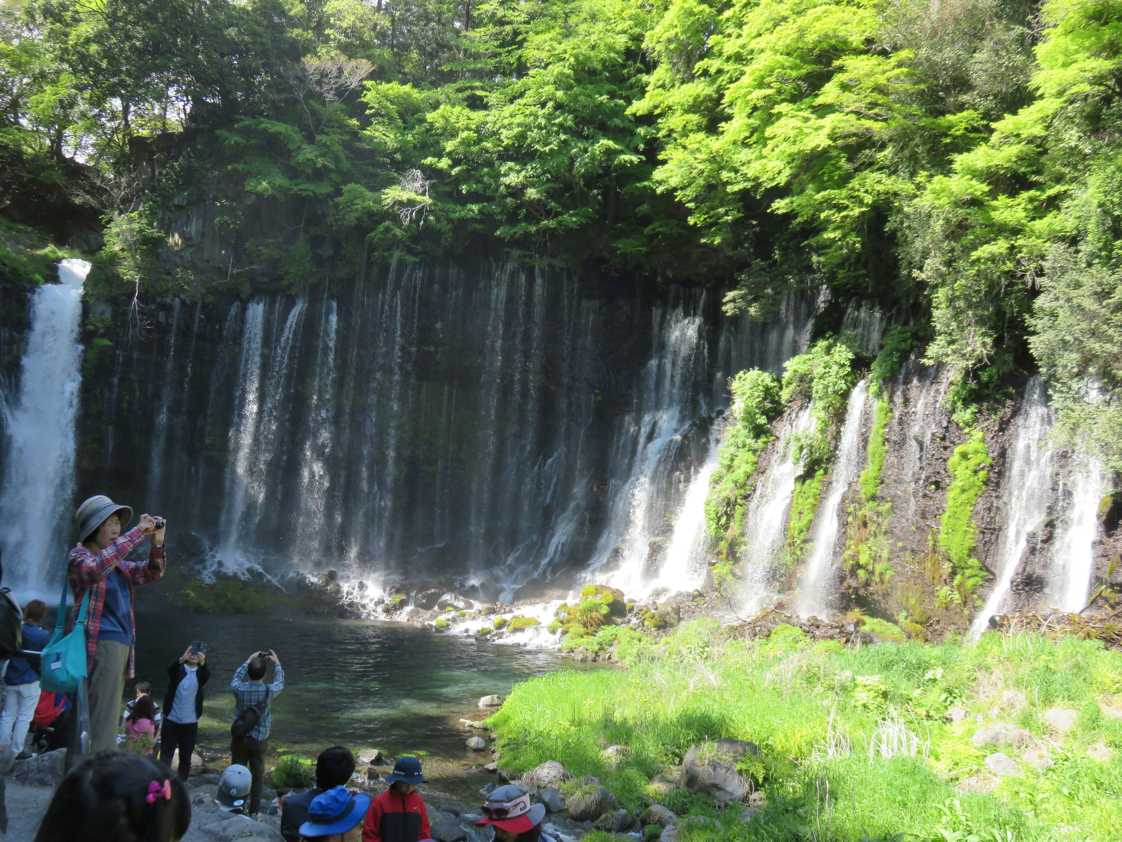 美しい滝と緑豊かな自然の中にいる観光客たち