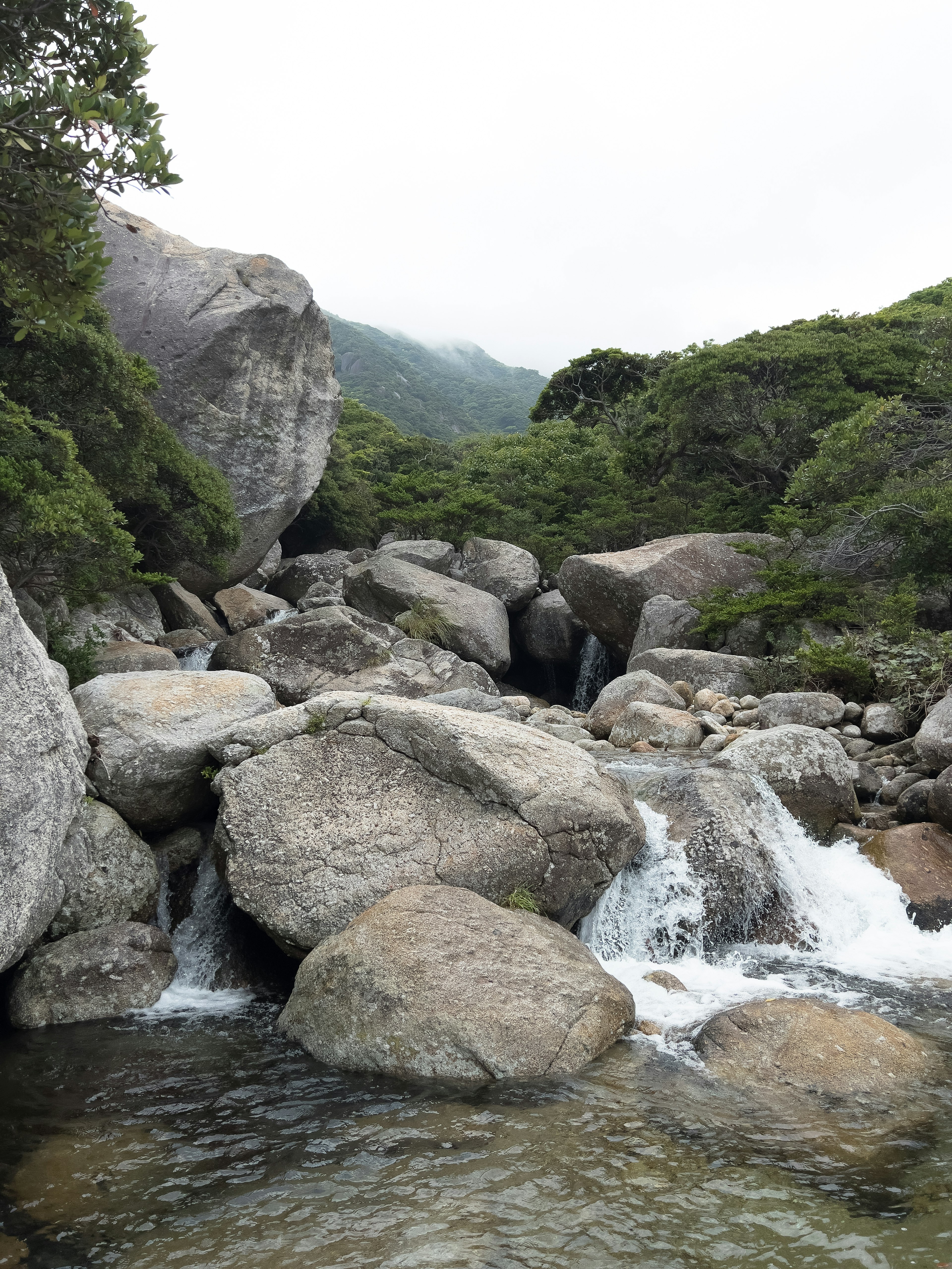 Natural landscape with rocks and flowing river