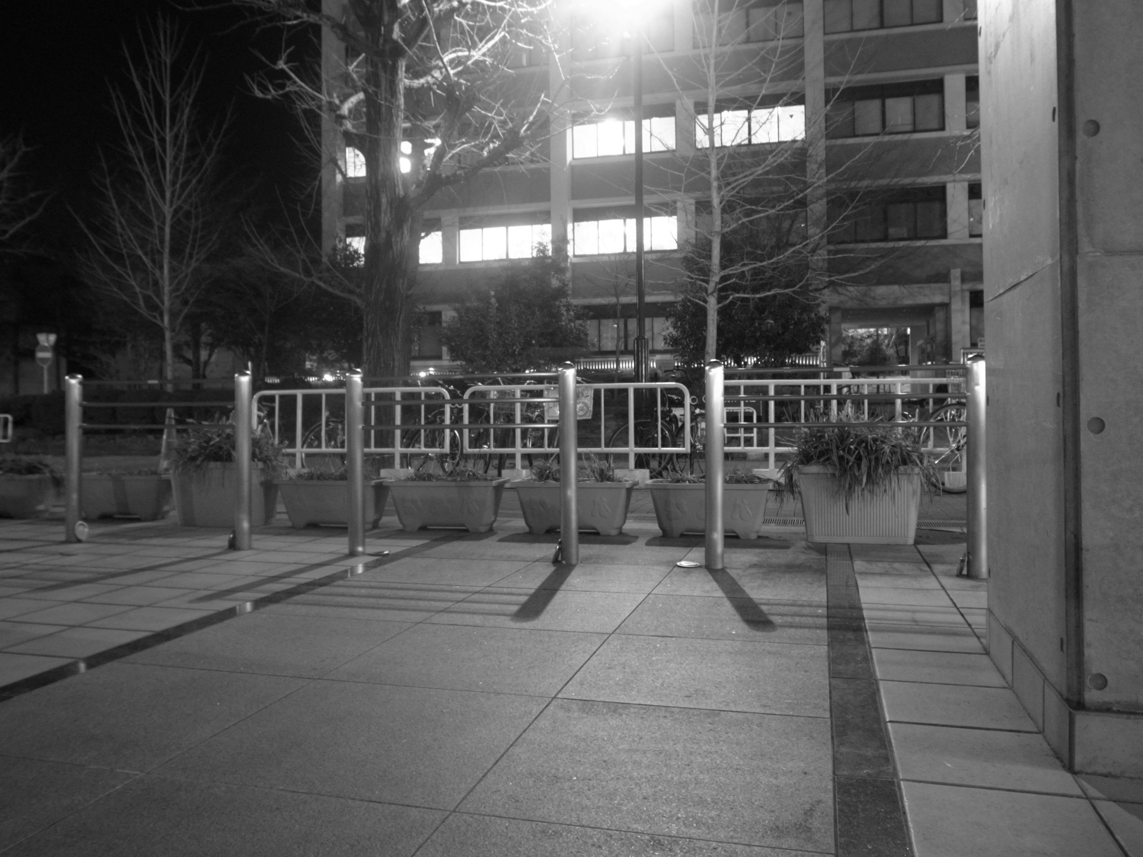 Metal fence and plant pots in a nighttime urban landscape