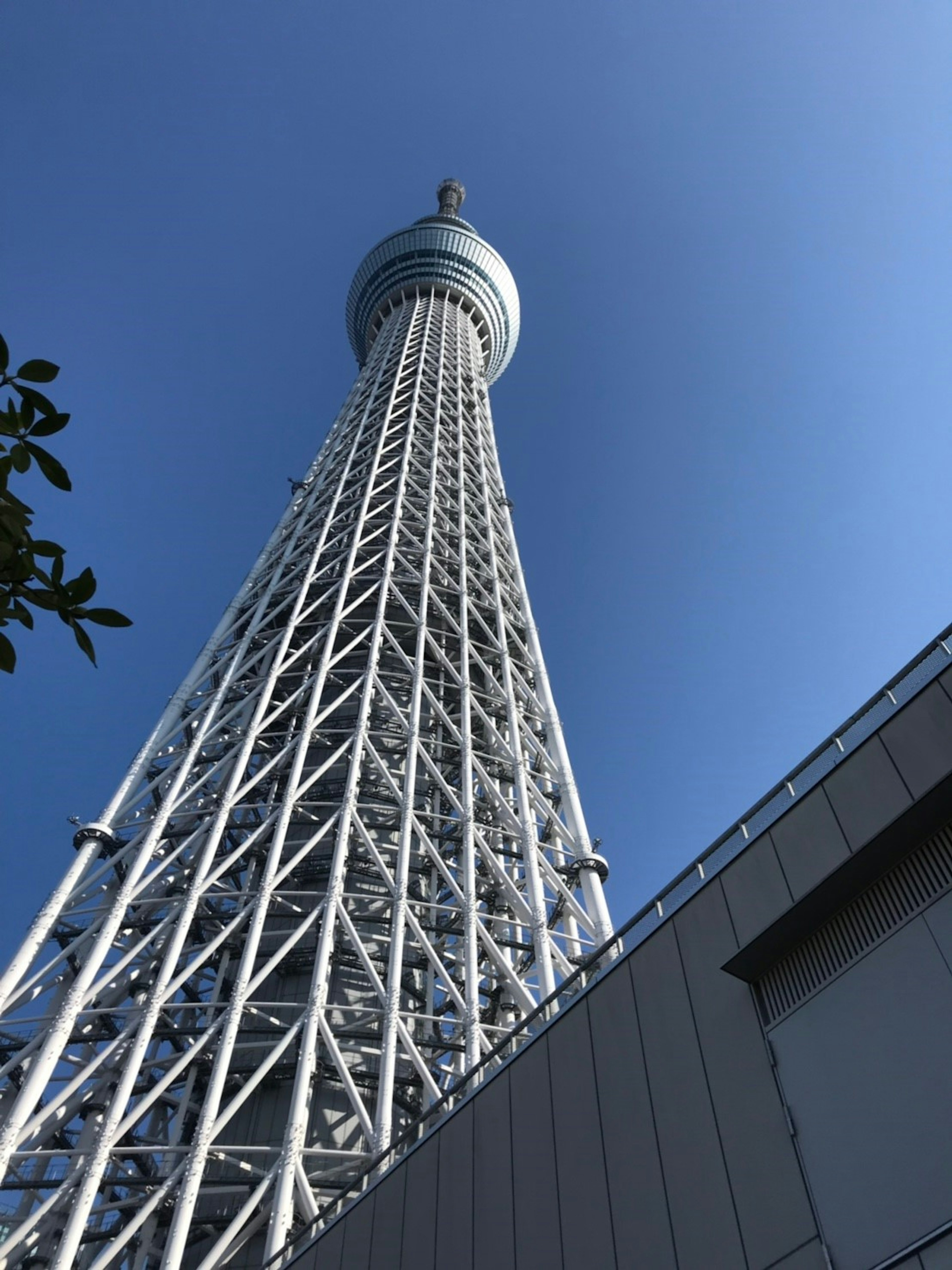 Cấu trúc cao của Tokyo Skytree trên nền trời xanh