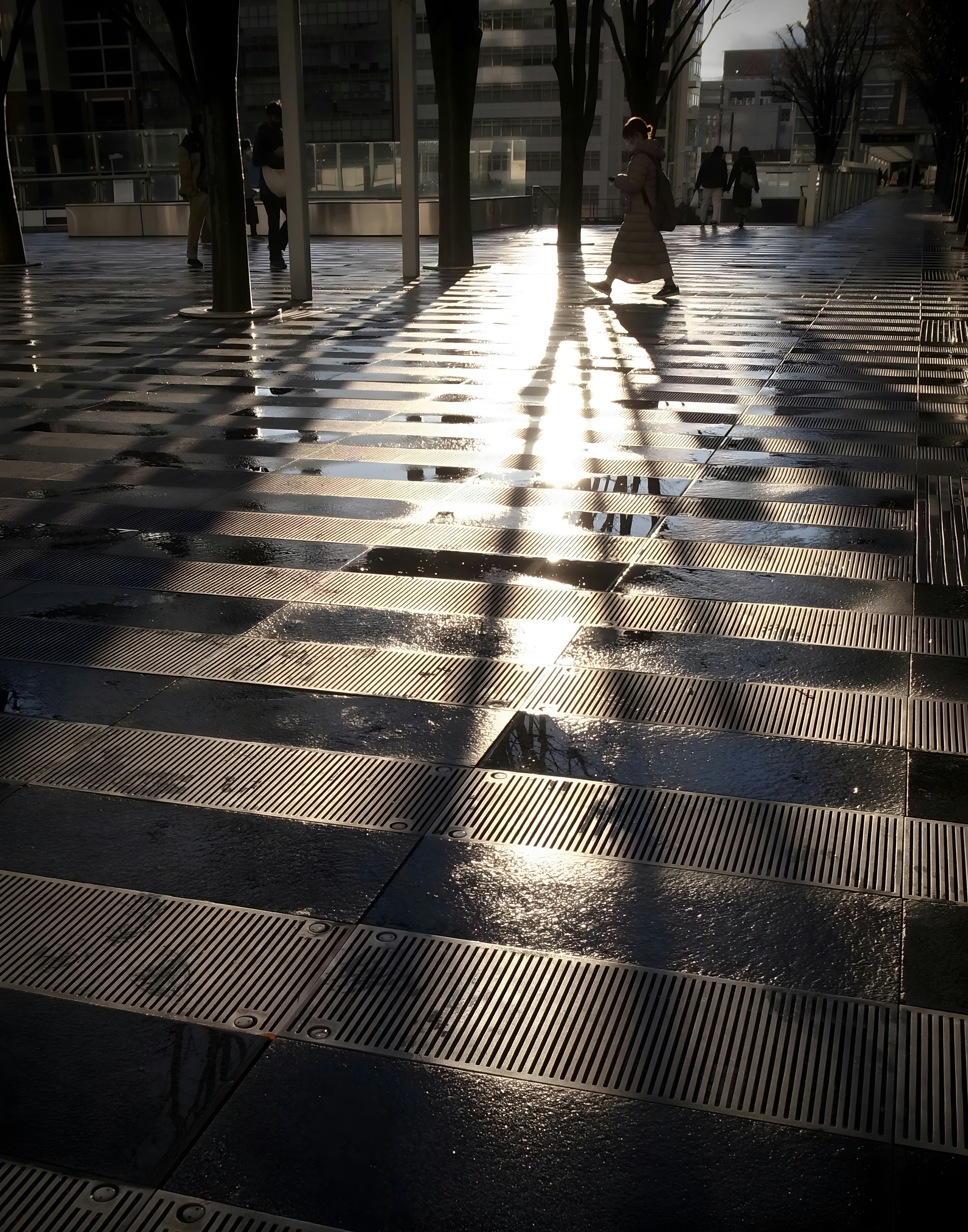 Contraste de sombras y luz en un pavimento mojado