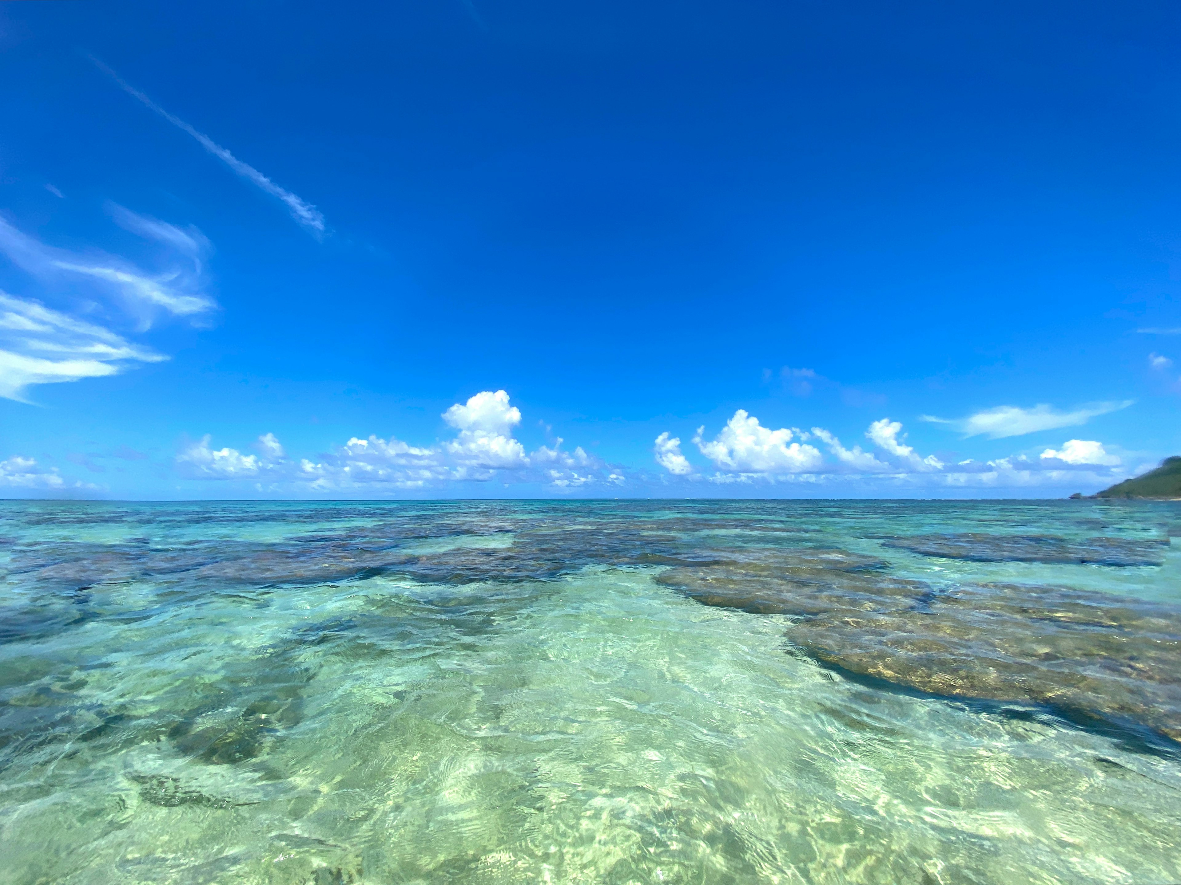 美丽的海滩场景，清澈的水和蓝天