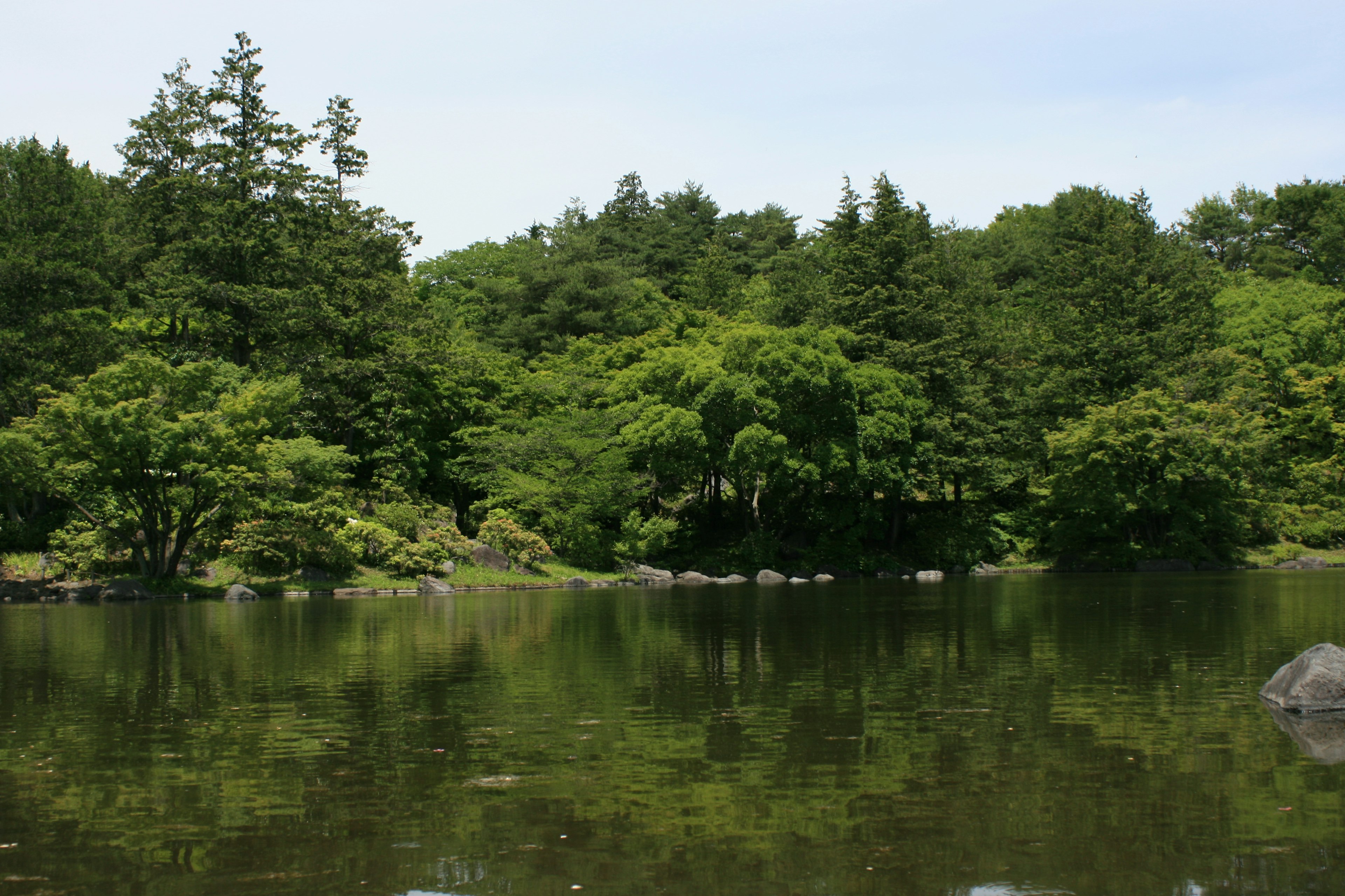 Serene lake reflecting lush green trees in a tranquil setting