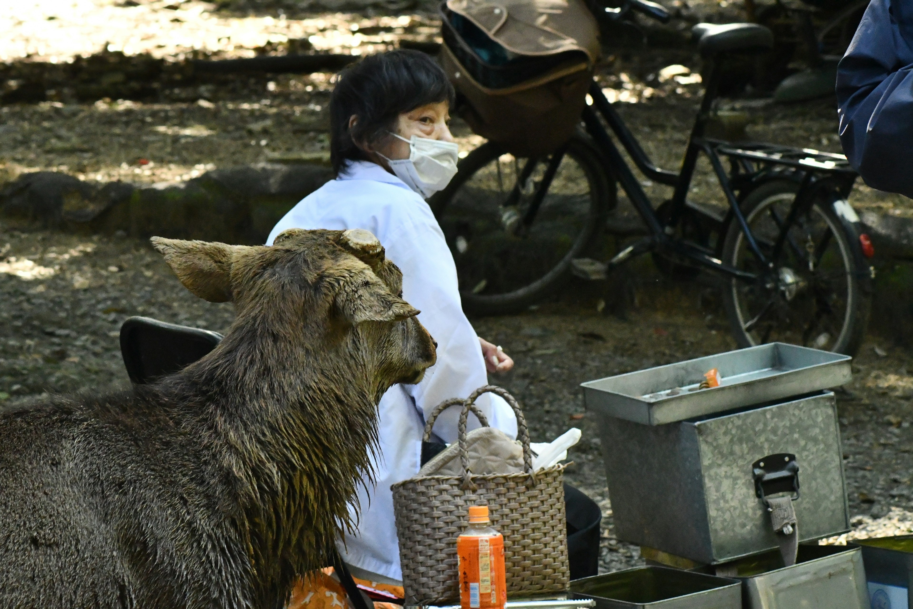 Sebuah pemandangan dengan seekor rusa dan seorang yang memakai masker duduk