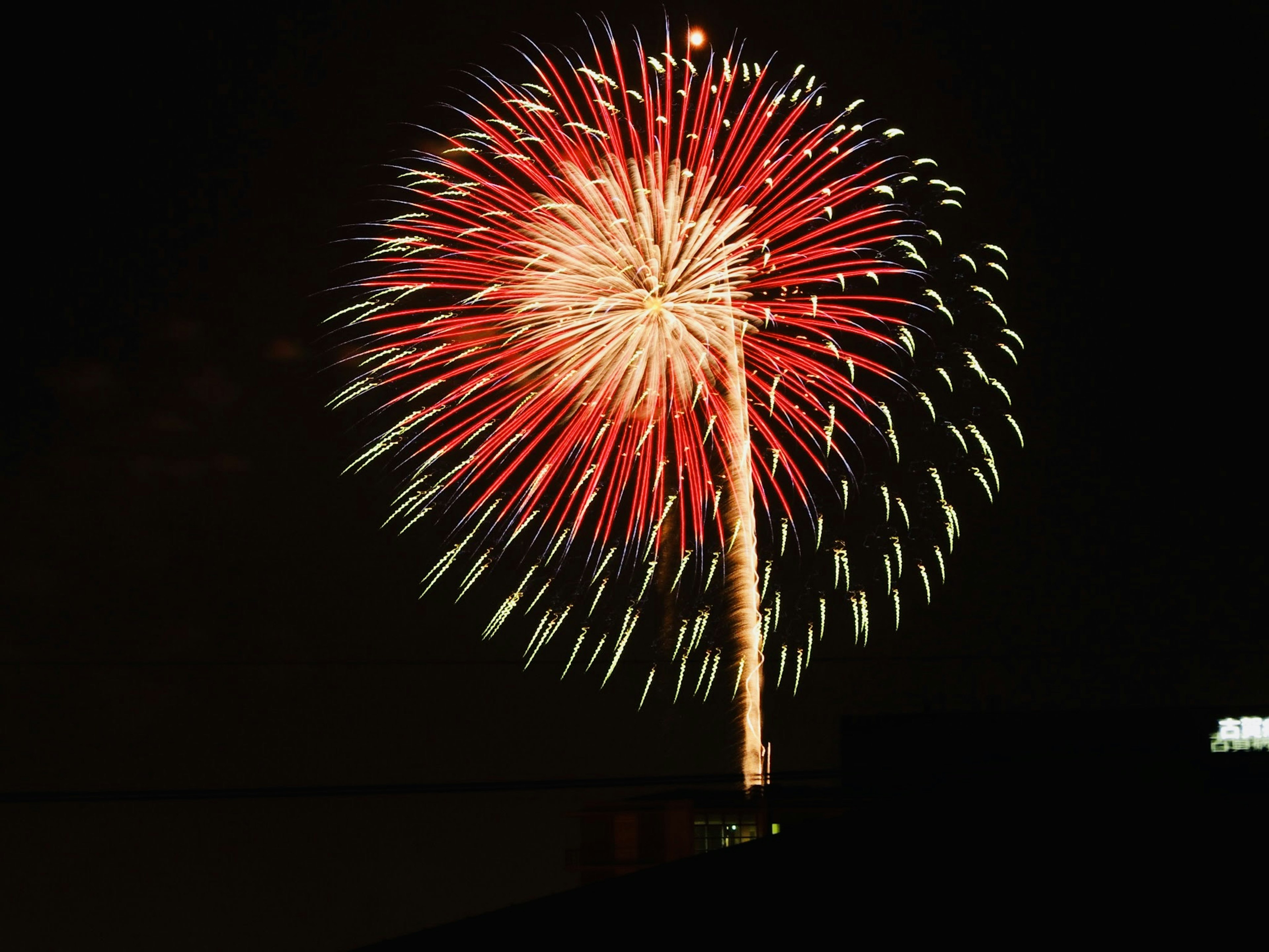 Hermoso espectáculo de fuegos artificiales rojos y blancos estallando en el cielo nocturno