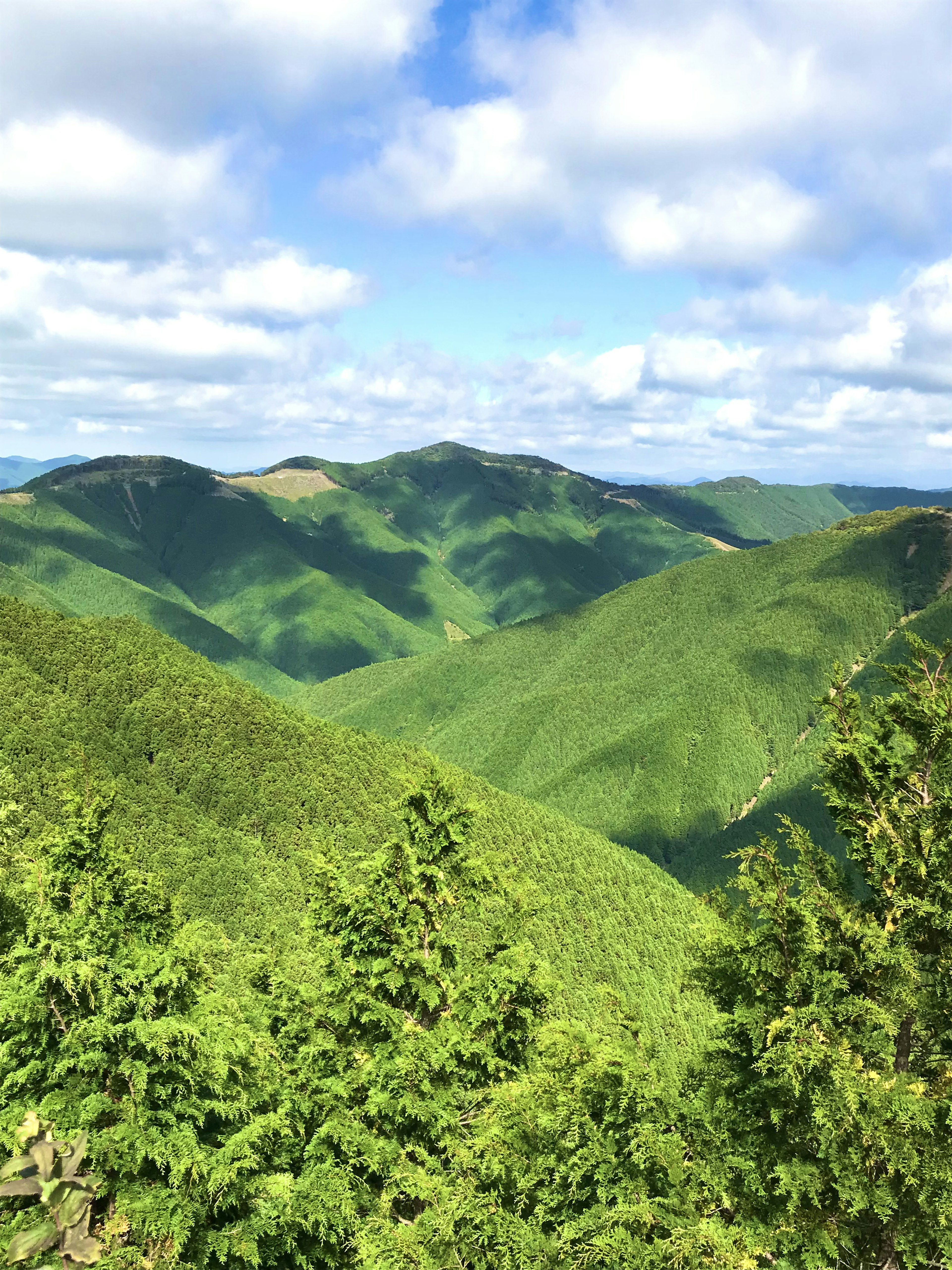 郁郁葱葱的山脉和蓝天