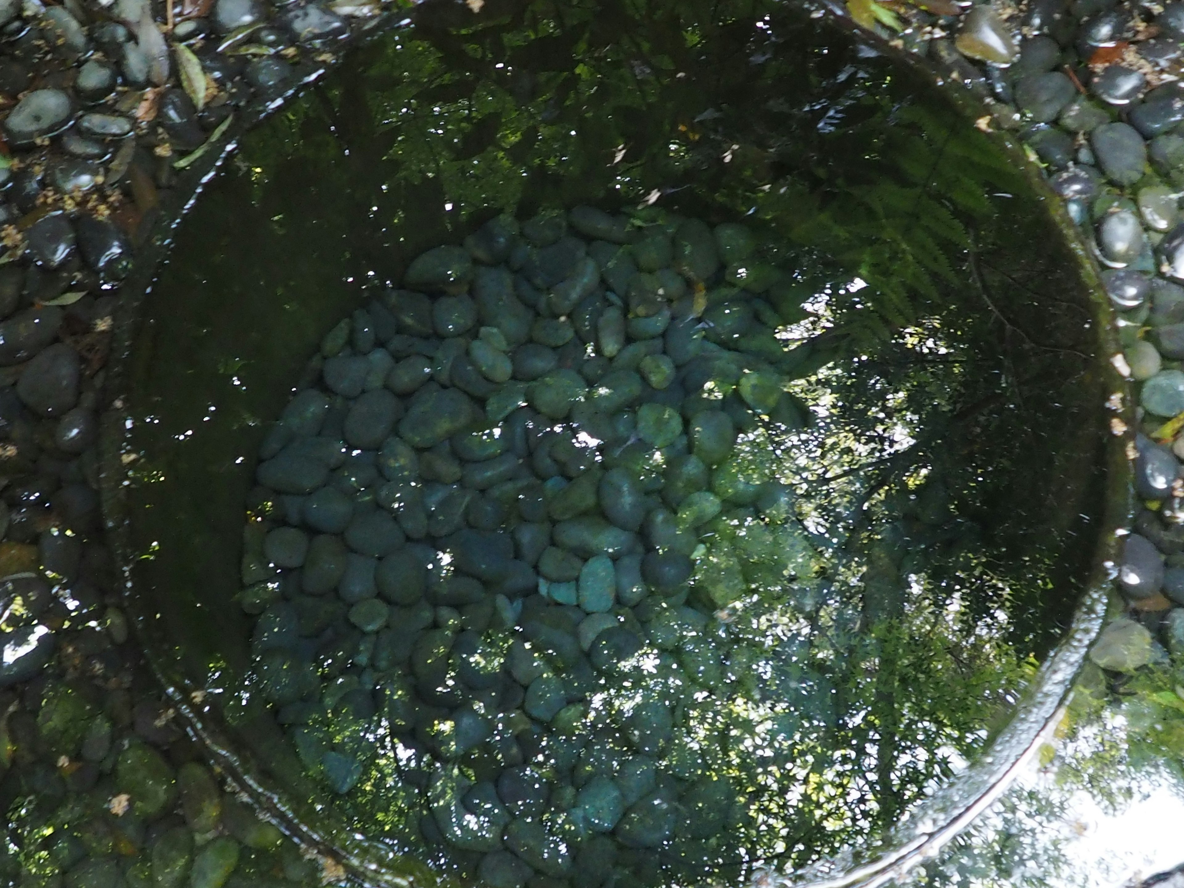 A pond scene featuring reflections of stones and greenery on the water surface