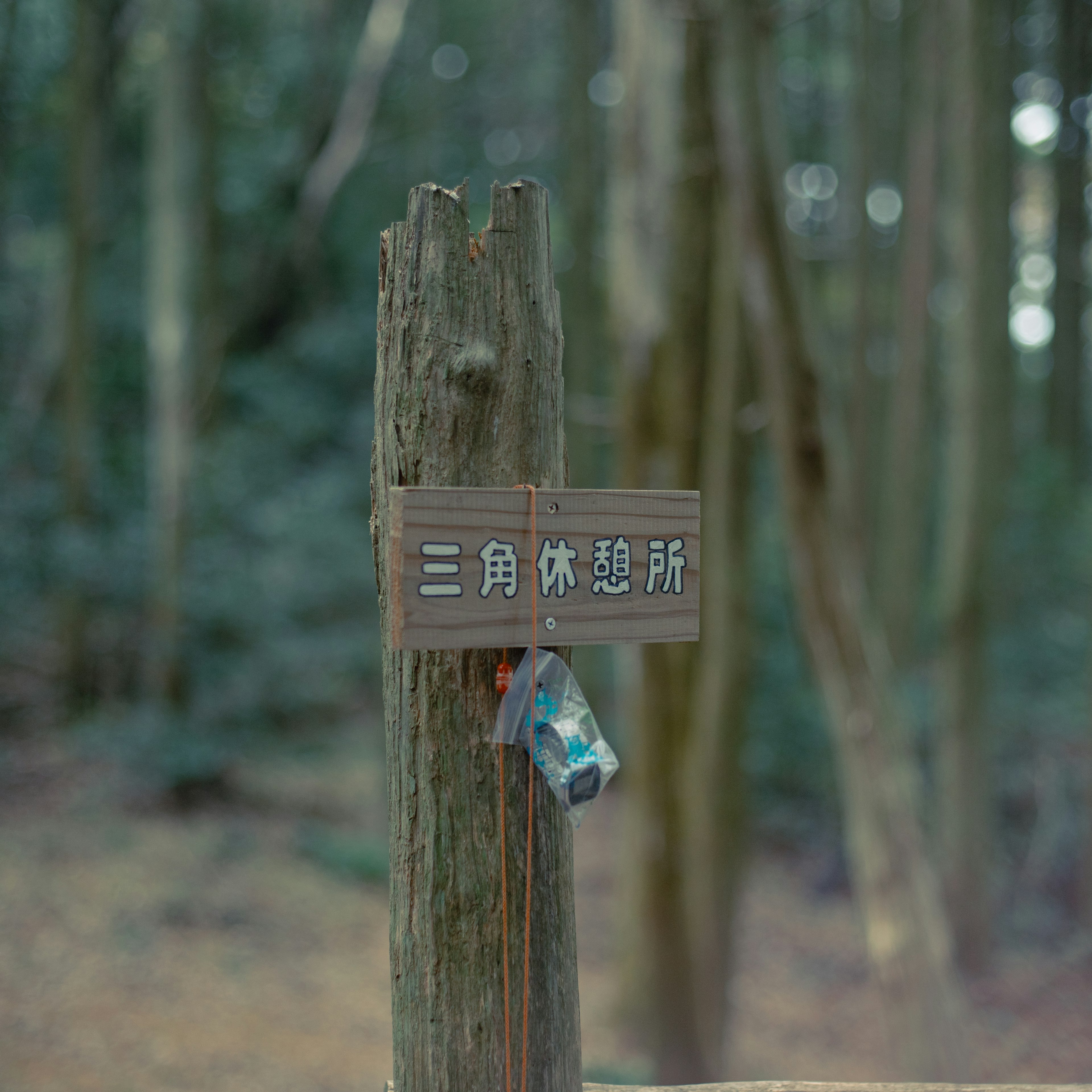 Señal de madera en el bosque que dice Área de descanso triangular