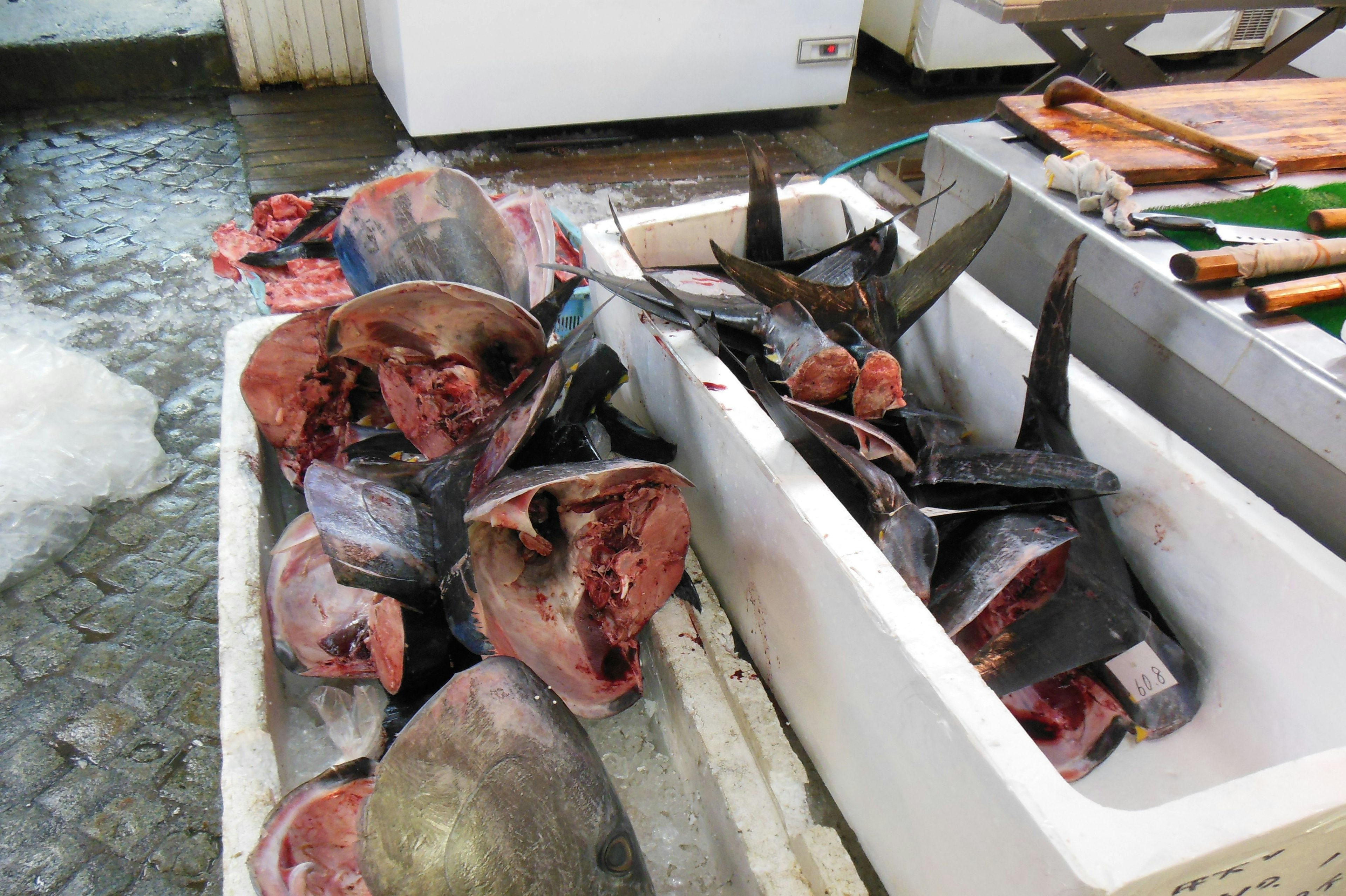 Cabezas de pescado y partes del cuerpo exhibidas en un mostrador de mercado de pescado