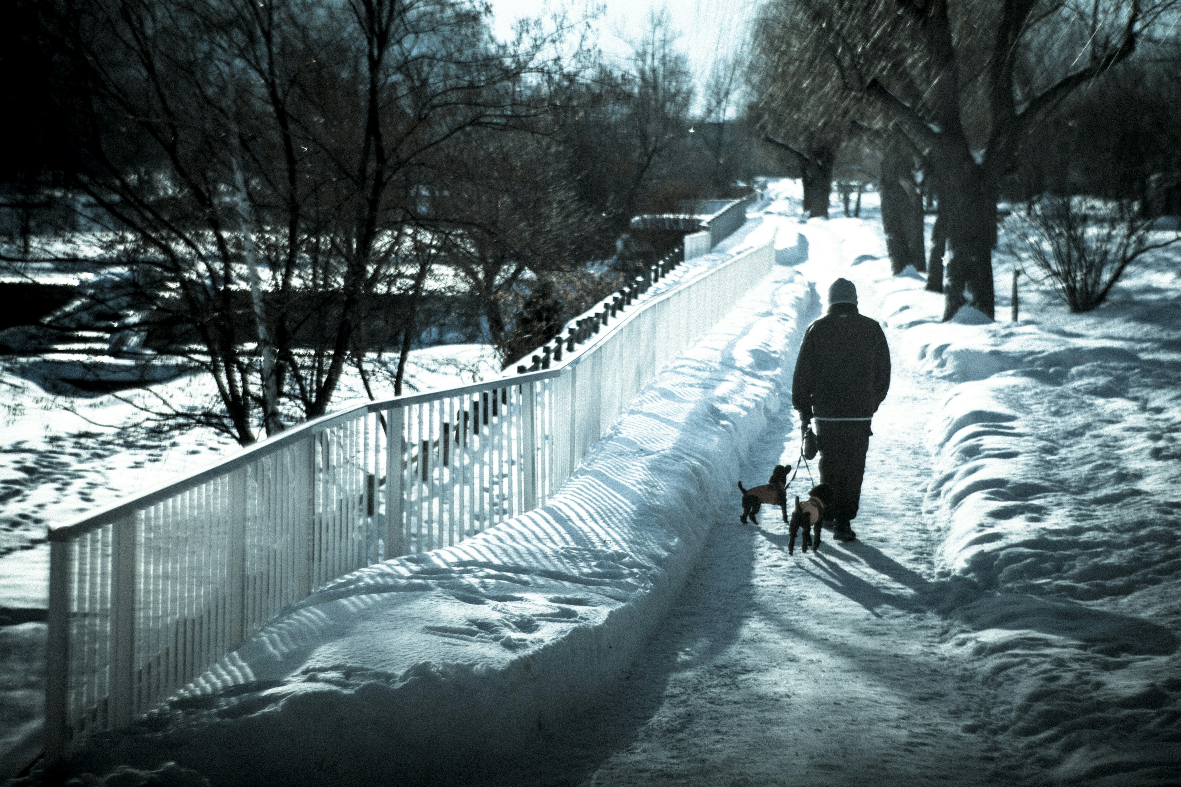 Silhouette of a person walking a dog on a snow-covered path