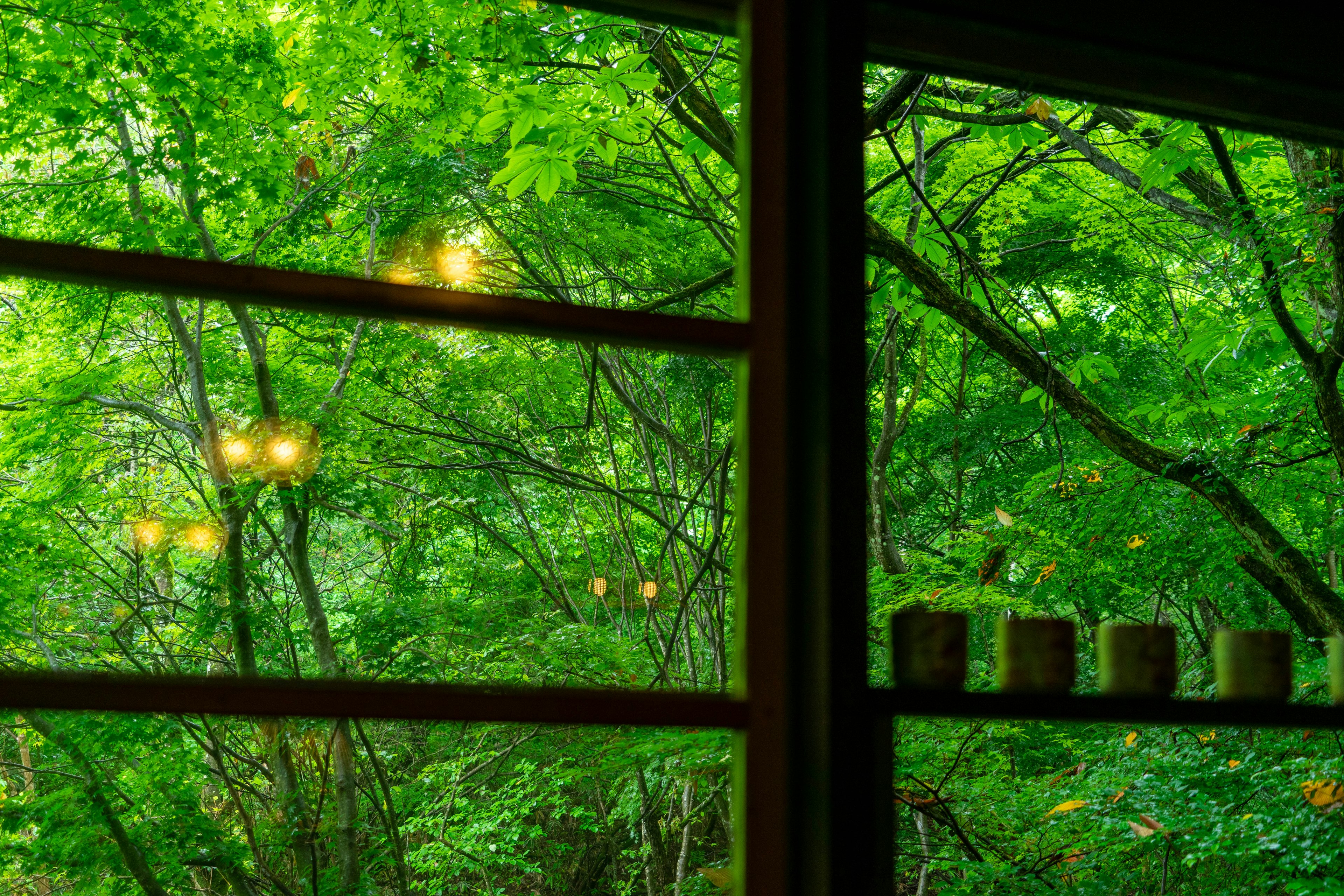 View of lush green trees through a window with candles