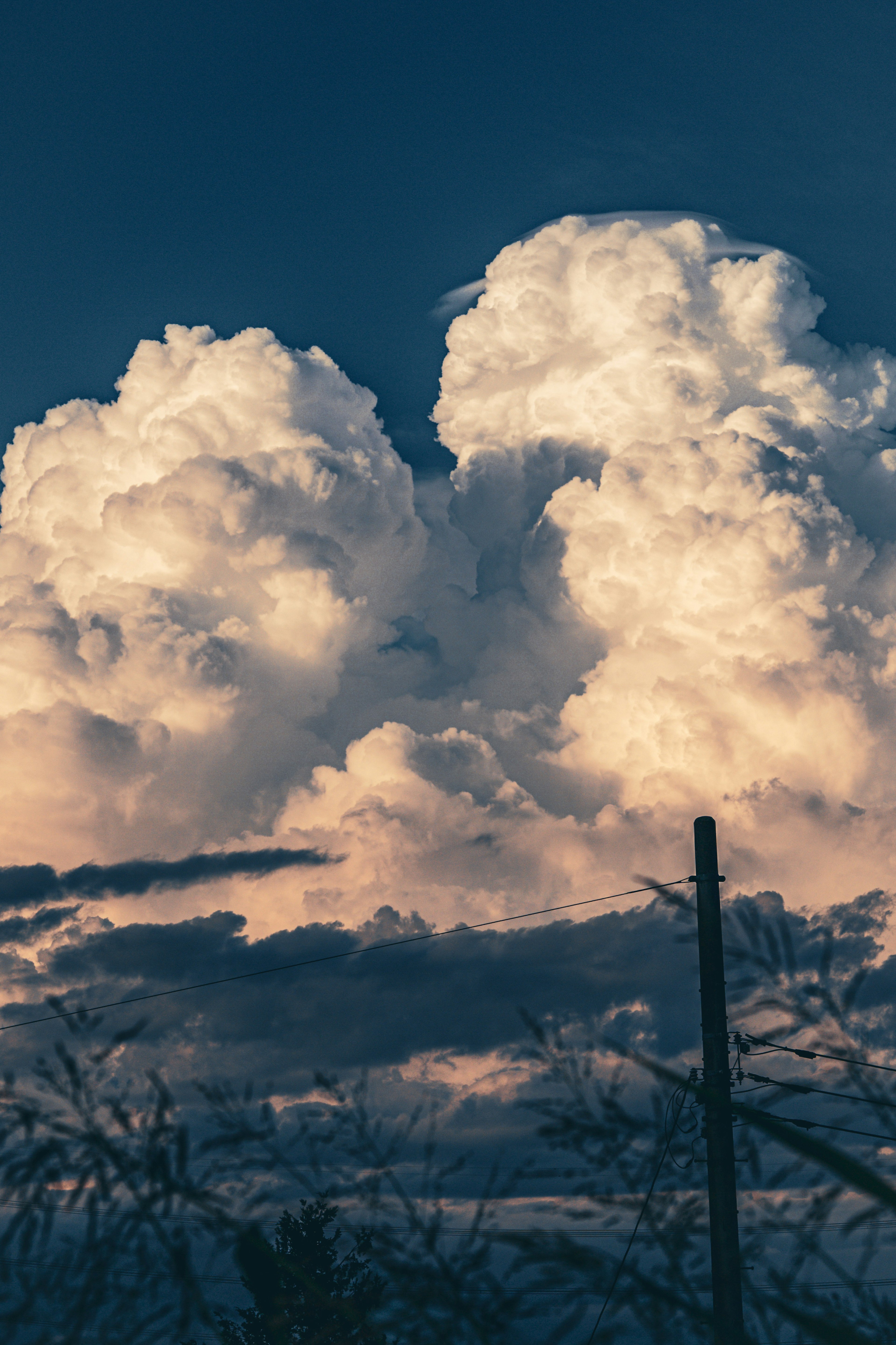 Large white clouds in a blue sky with silhouetted trees below