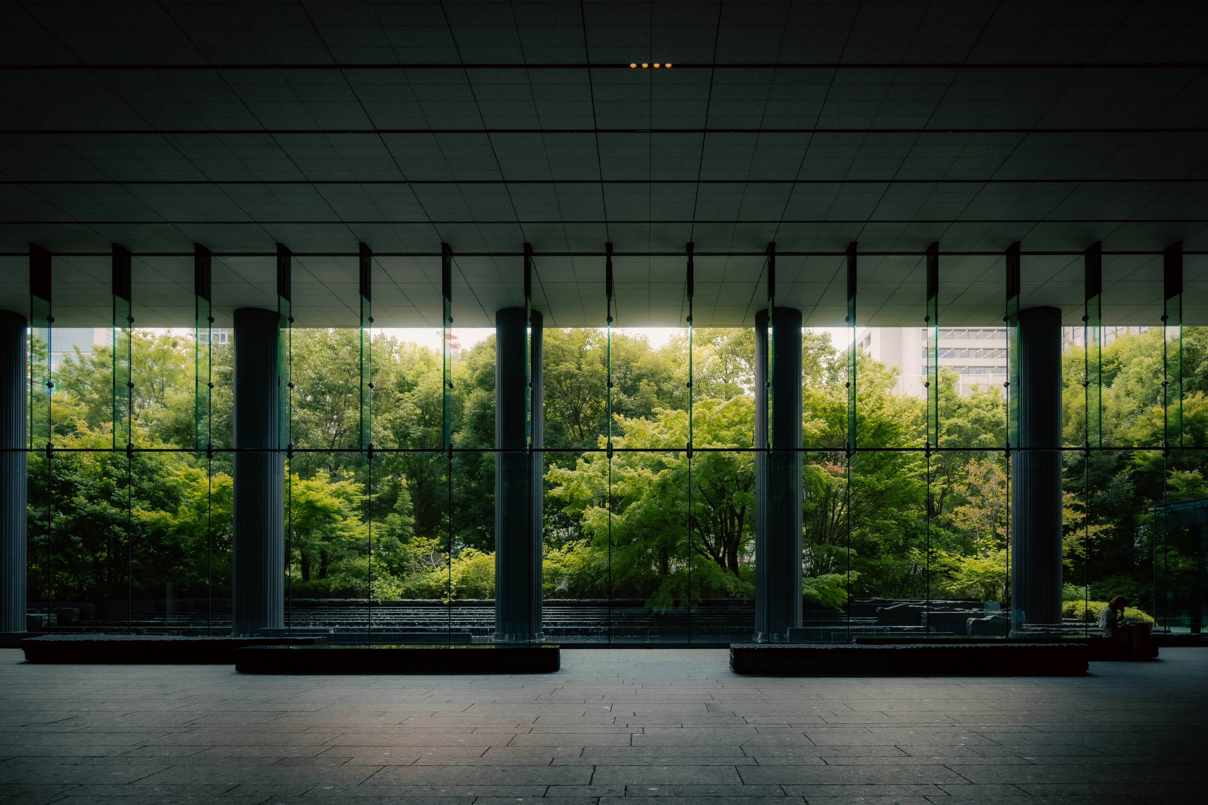 Interior view of a modern building showcasing lush greenery through large windows